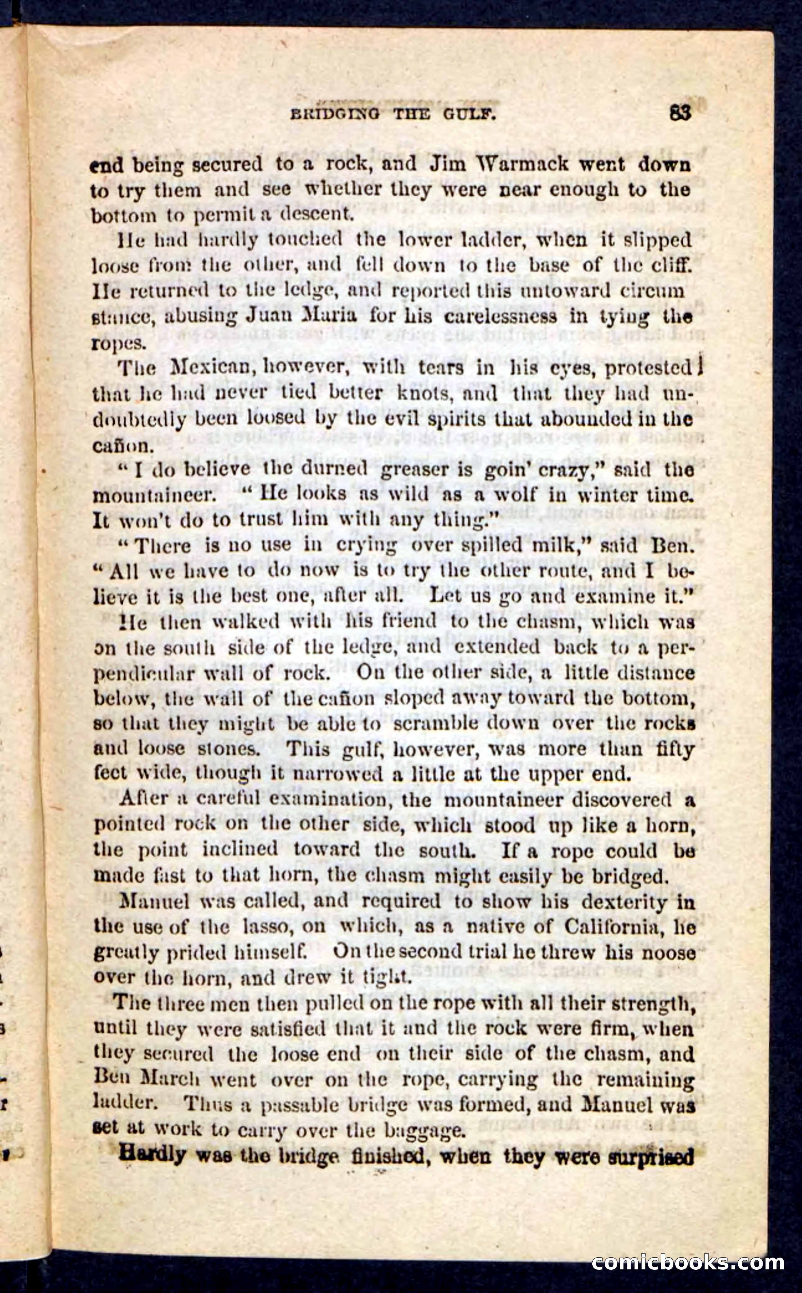 The Mountaineer — page 79 of 100