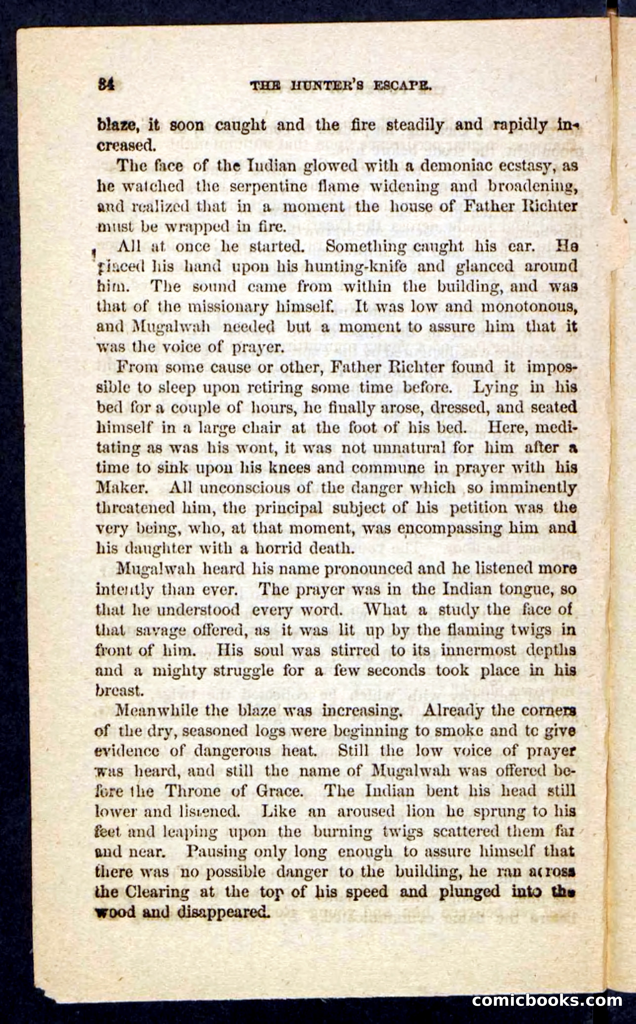 Beadle's Pocket Novels No. 229: The Hunter's Escape — page 30 of 100