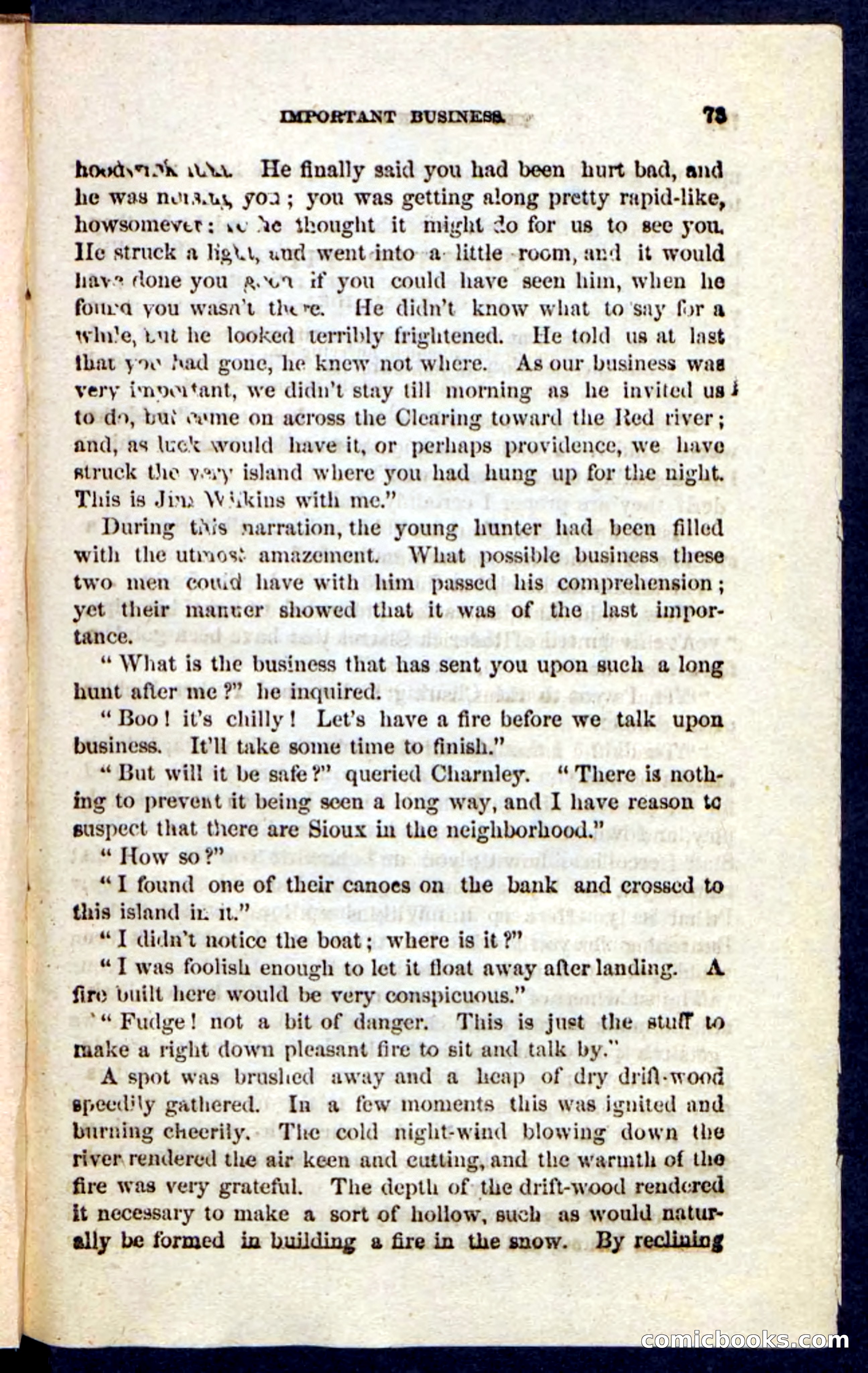 Beadle's Pocket Novels No. 229: The Hunter's Escape — page 69 of 100