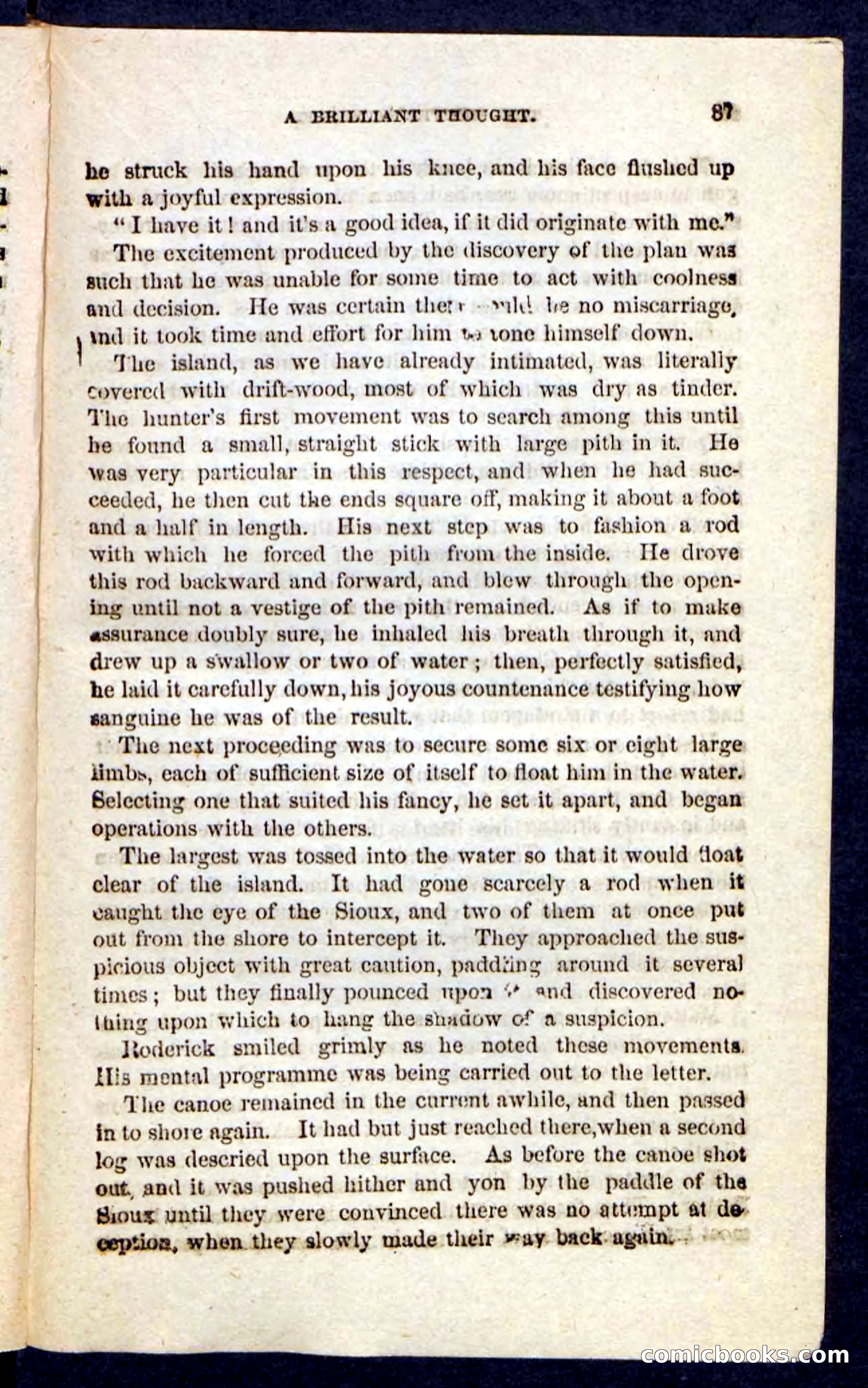 Beadle's Pocket Novels No. 229: The Hunter's Escape — page 83 of 100