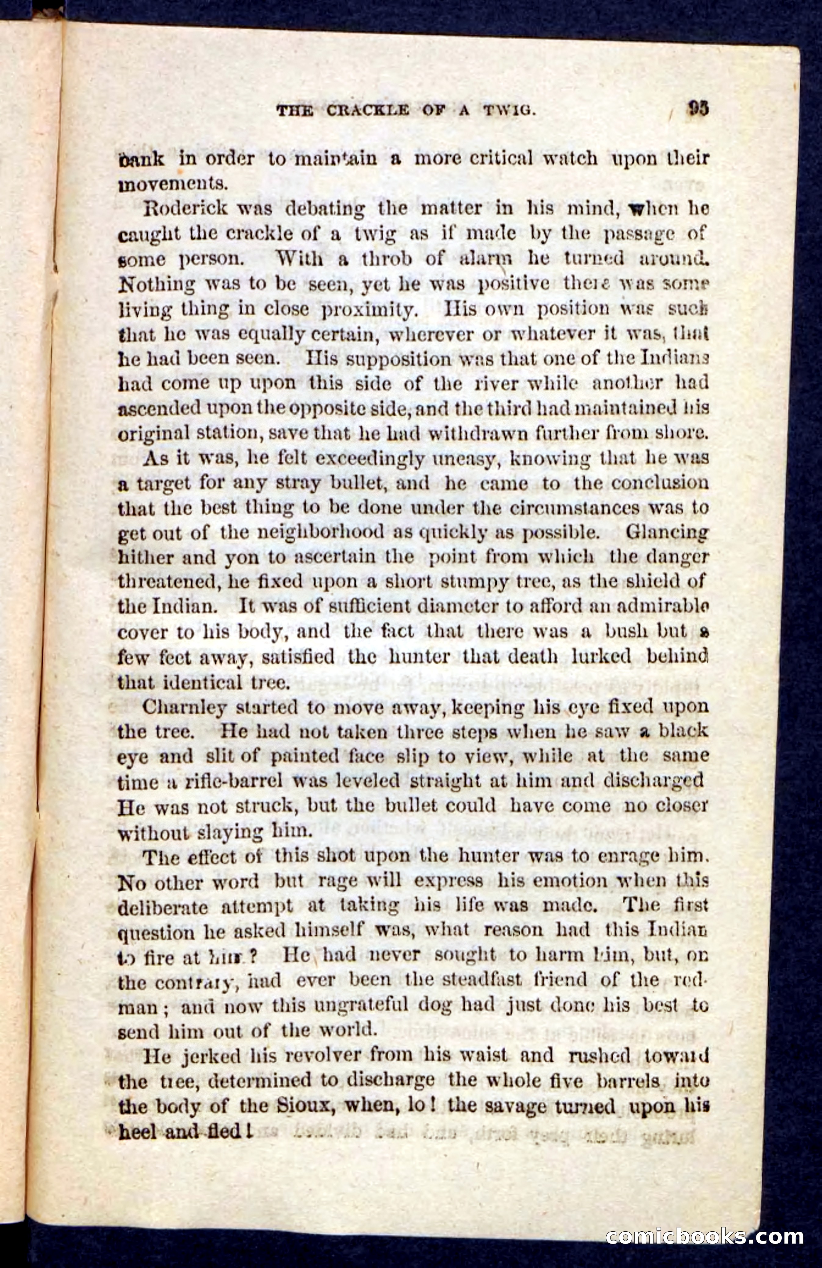 Beadle's Pocket Novels No. 229: The Hunter's Escape — page 91 of 100