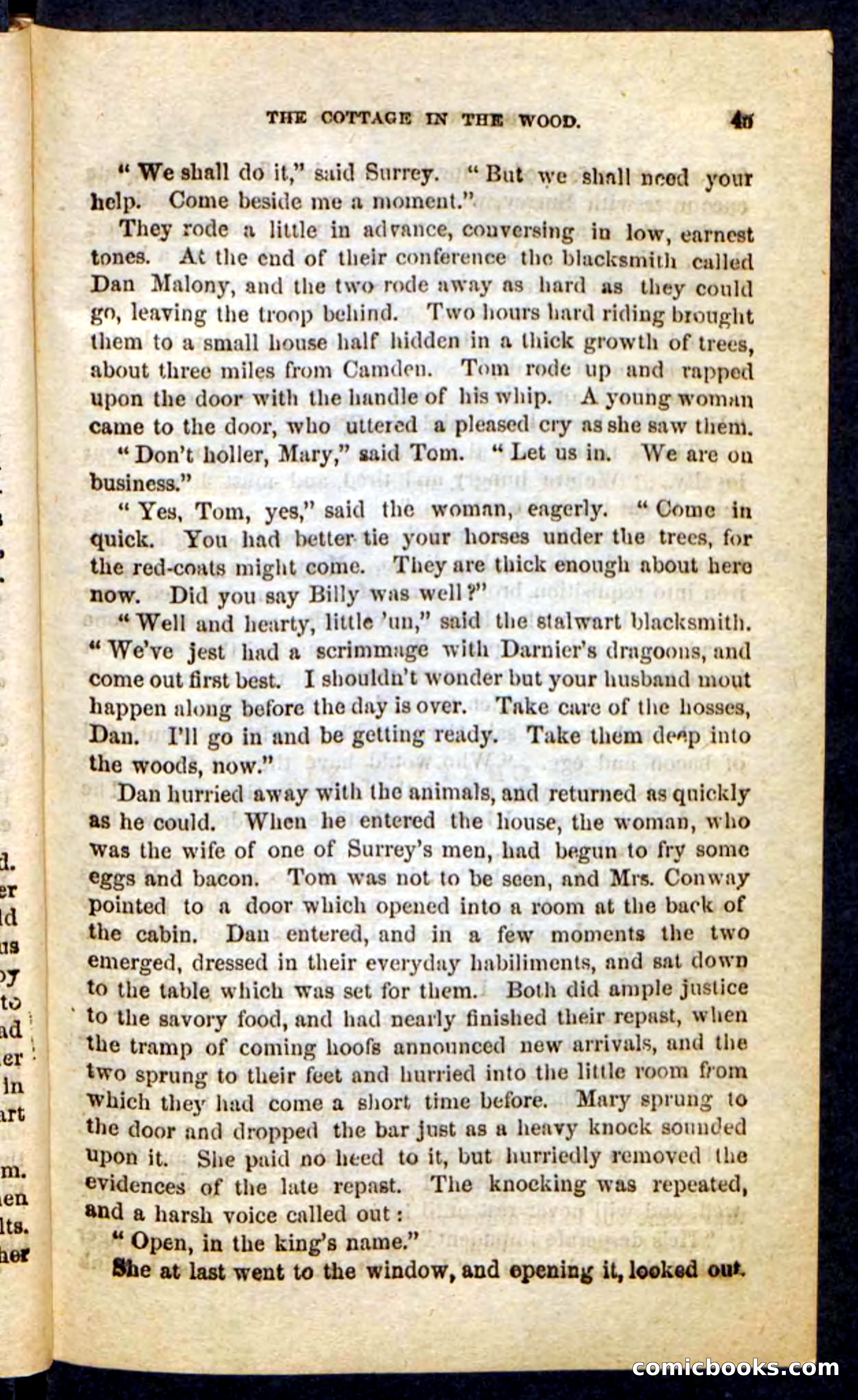 The Swamp Riders — page 41 of 100