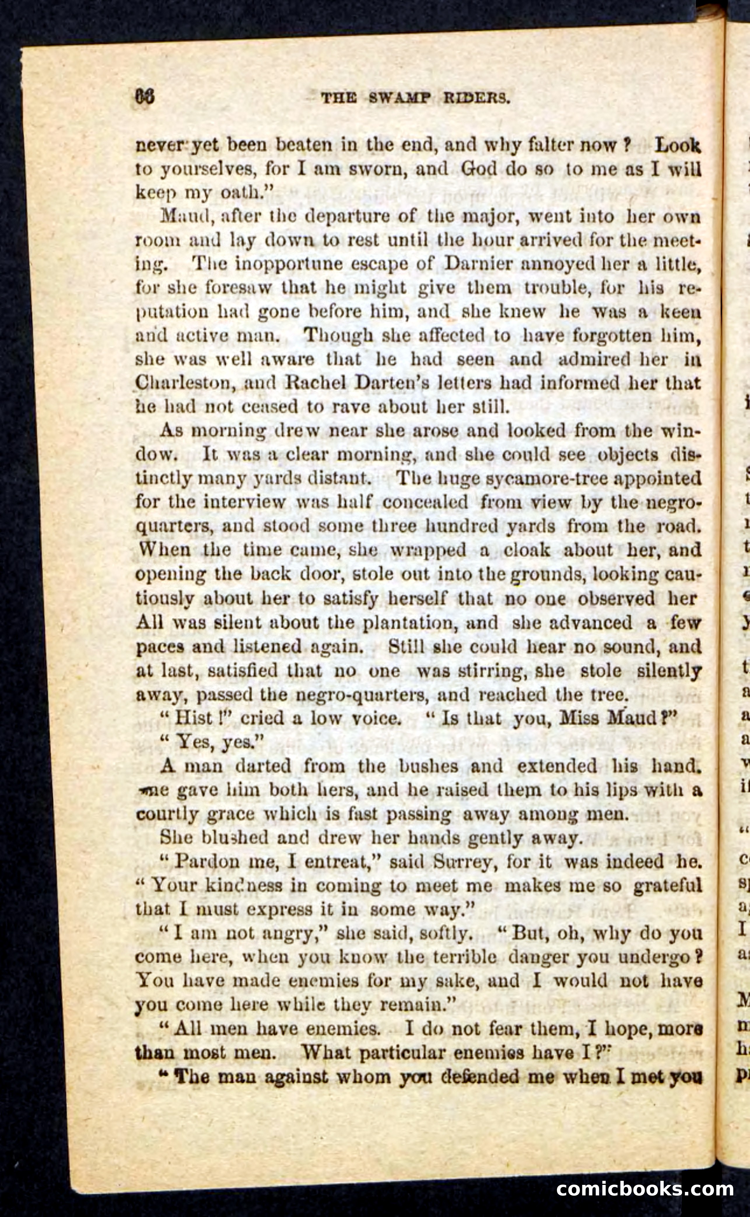 The Swamp Riders — page 62 of 100