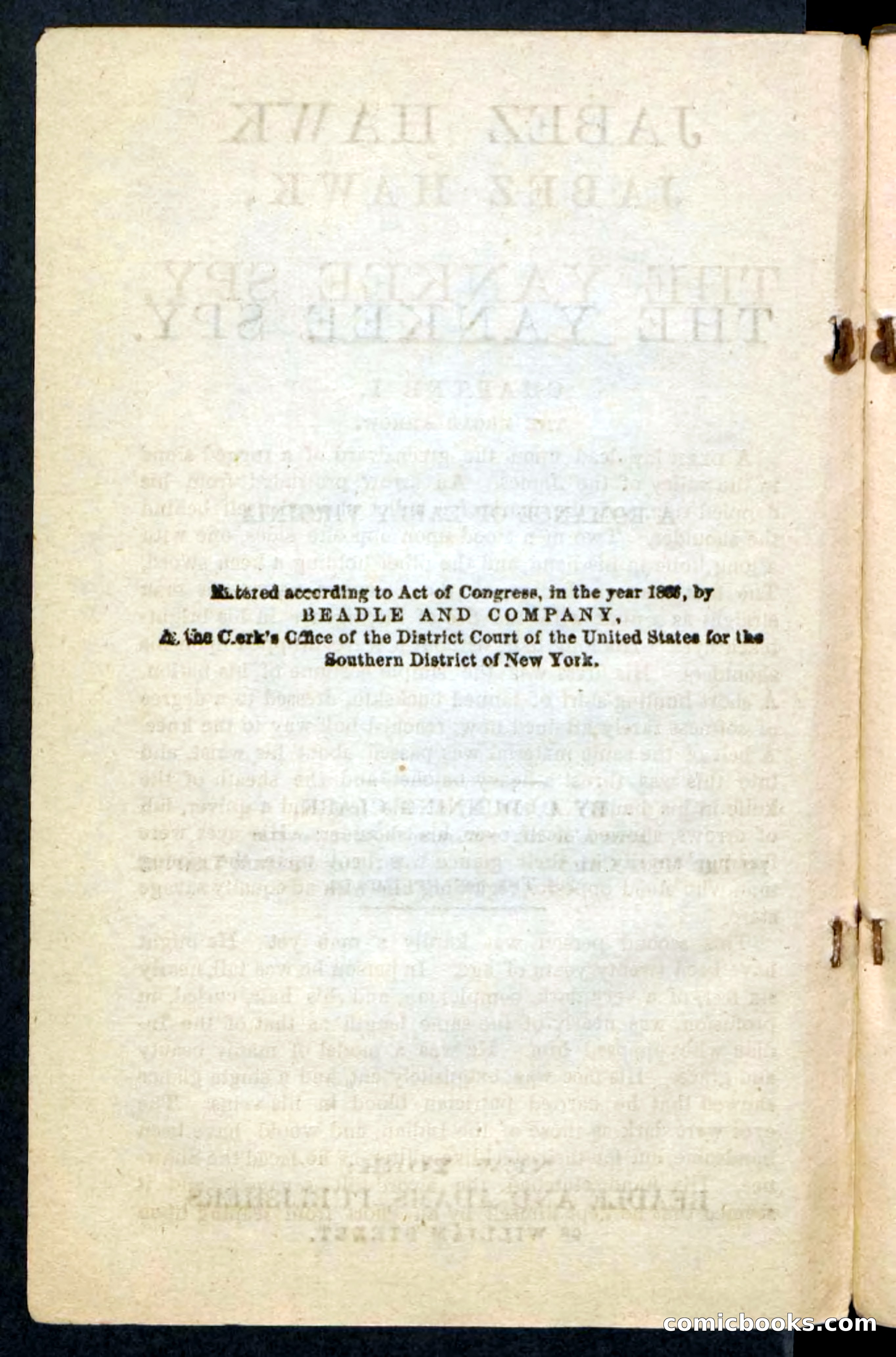 Beadle's Pocket Novels No. 232: Jabez Hawk — page 4 of 100