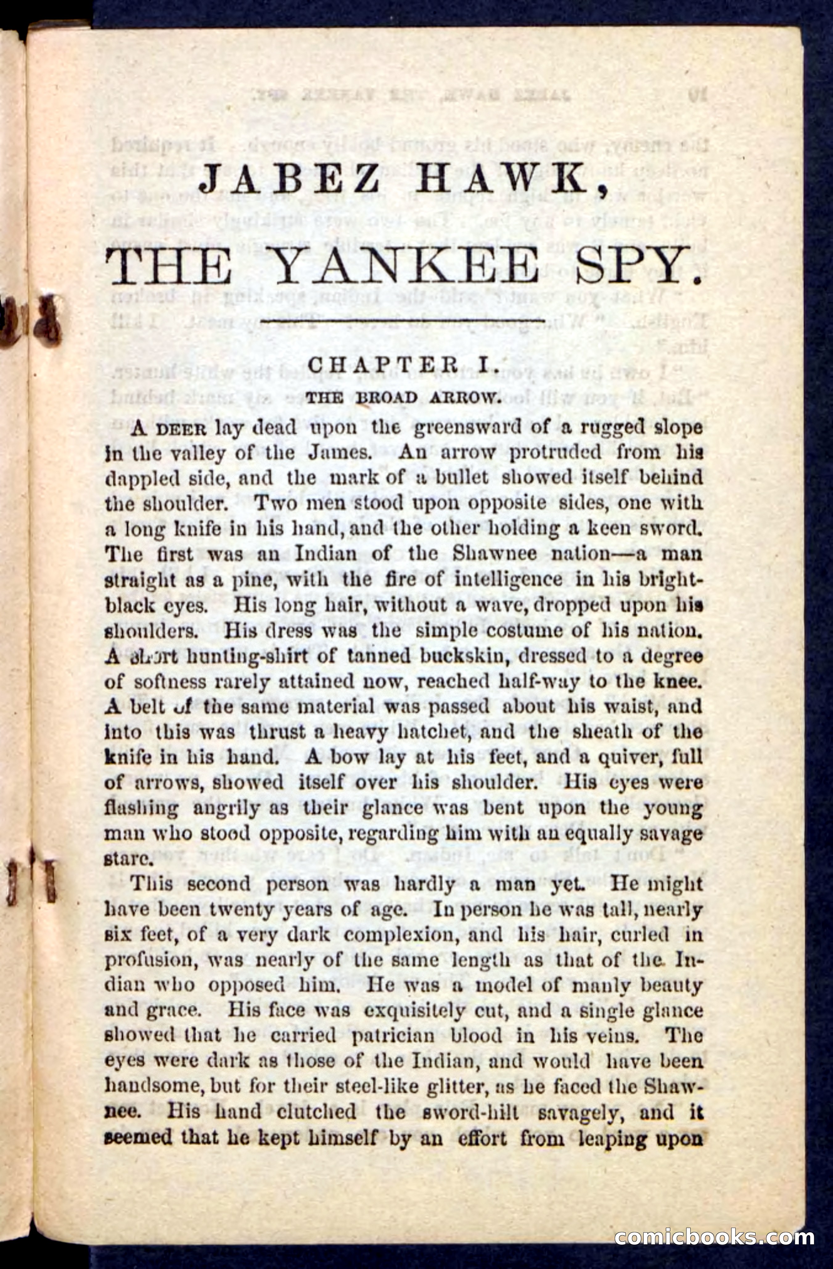 Beadle's Pocket Novels No. 232: Jabez Hawk — page 5 of 100