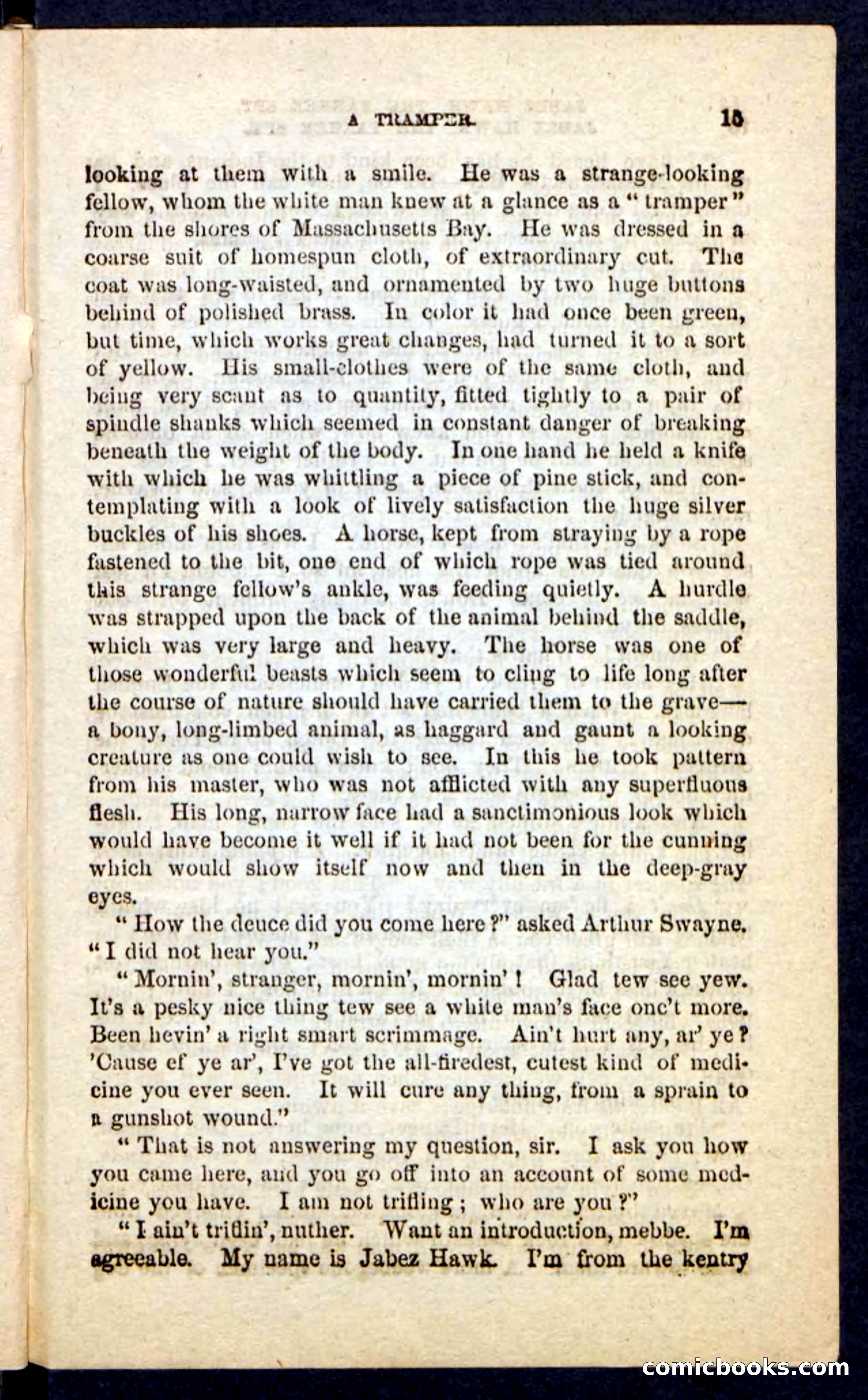 Beadle's Pocket Novels No. 232: Jabez Hawk — page 11 of 100
