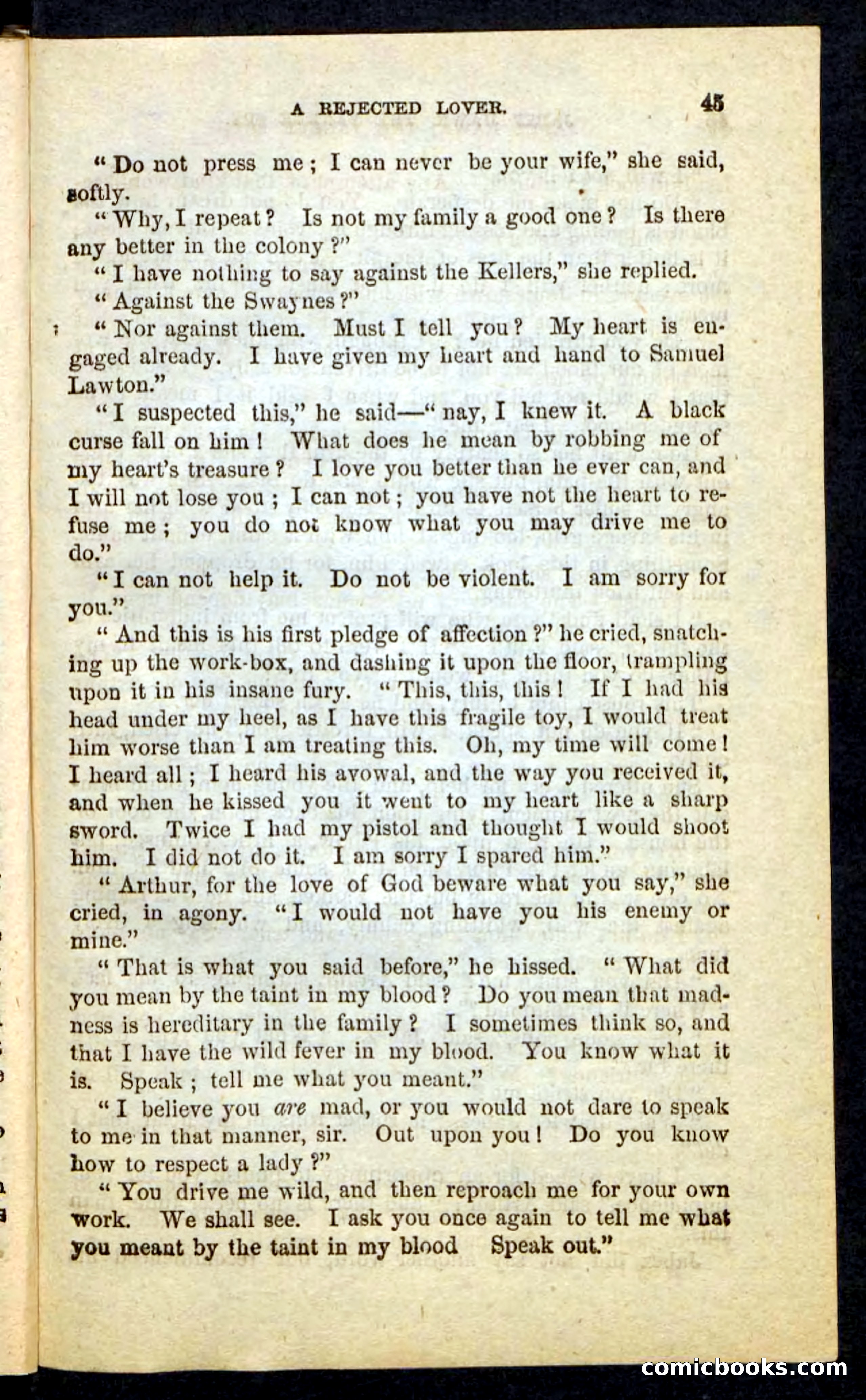 Beadle's Pocket Novels No. 232: Jabez Hawk — page 41 of 100