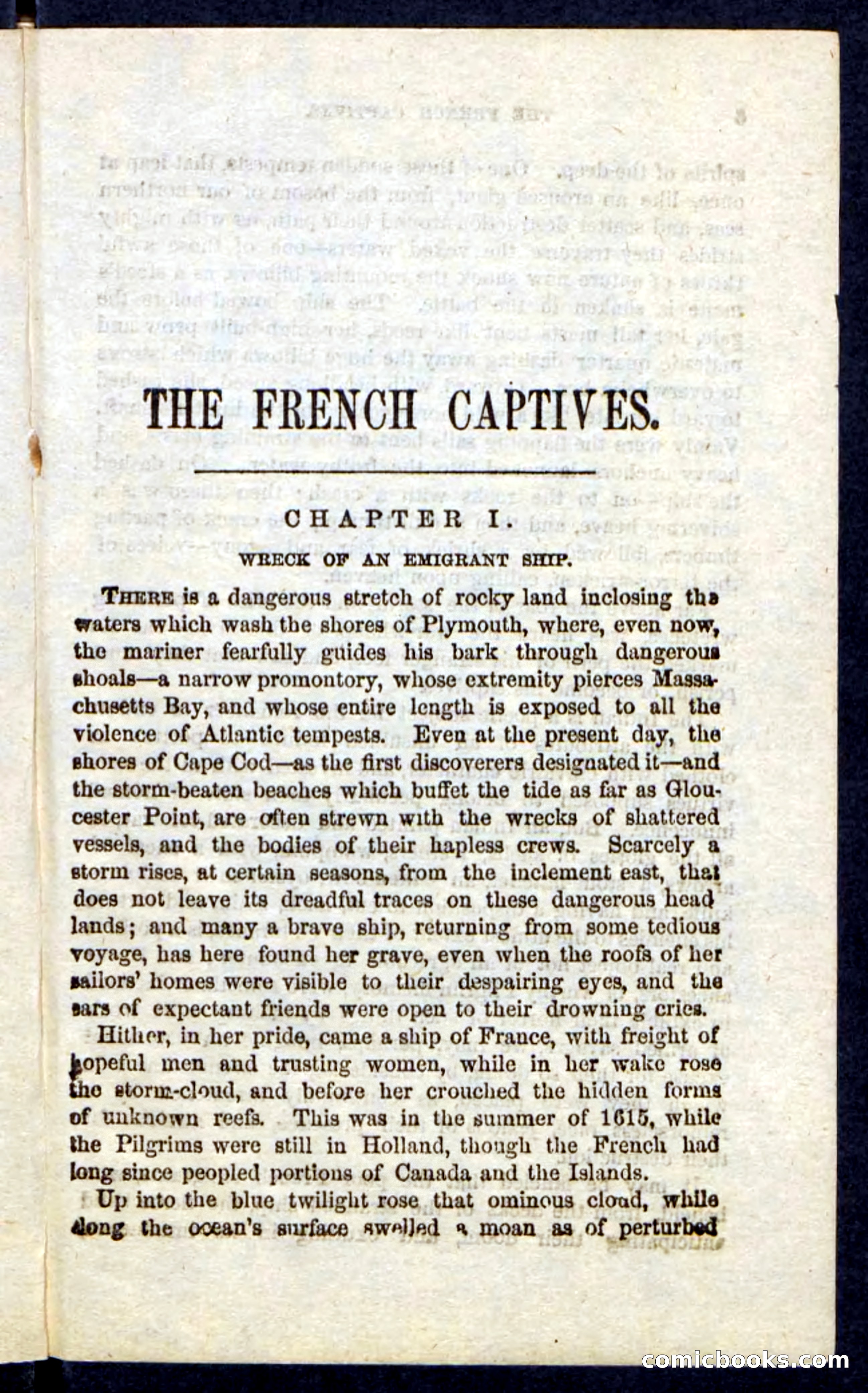 Beadle's Pocket Novels: Massasoit's Daughter — page 5 of 132