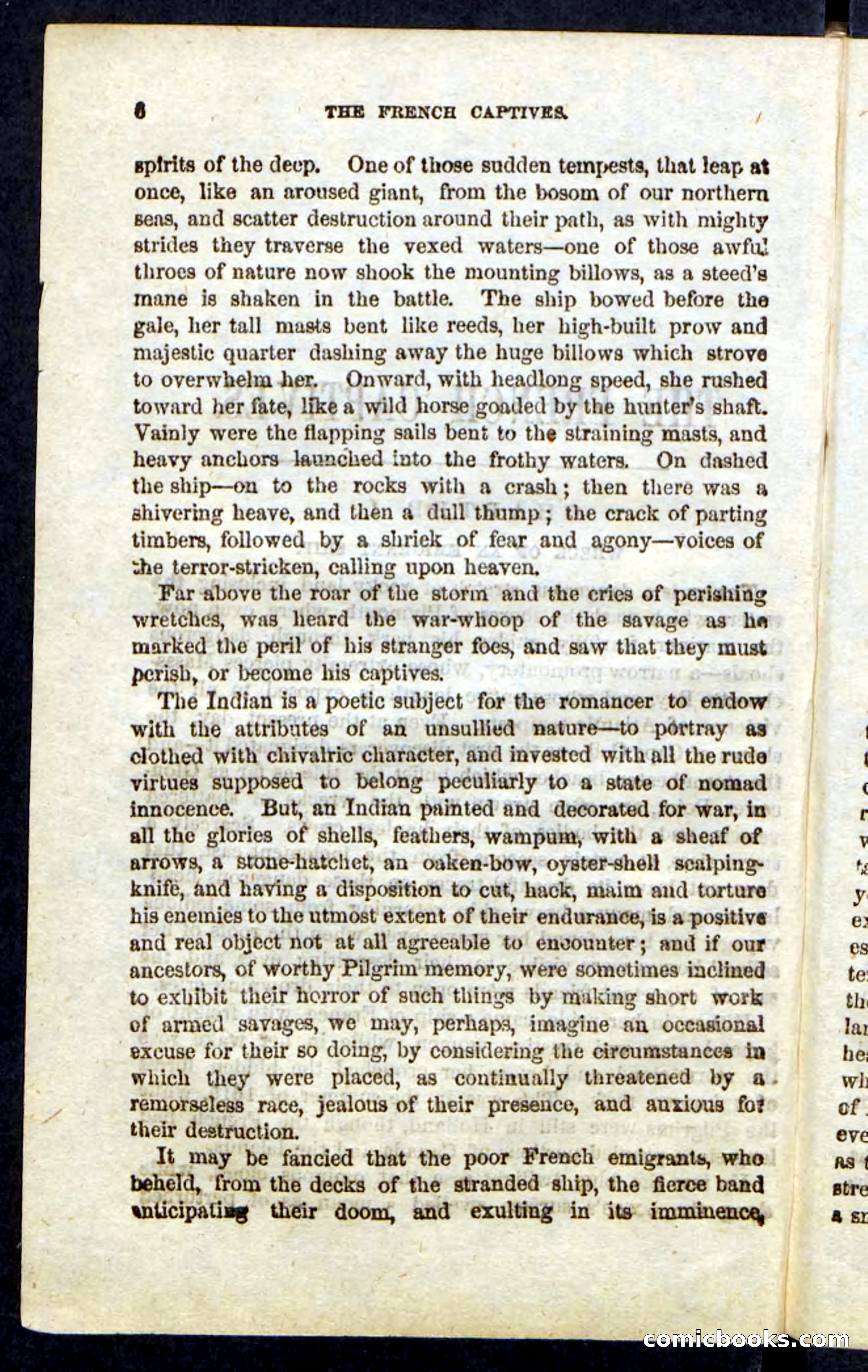 Beadle's Pocket Novels: Massasoit's Daughter — page 6 of 132