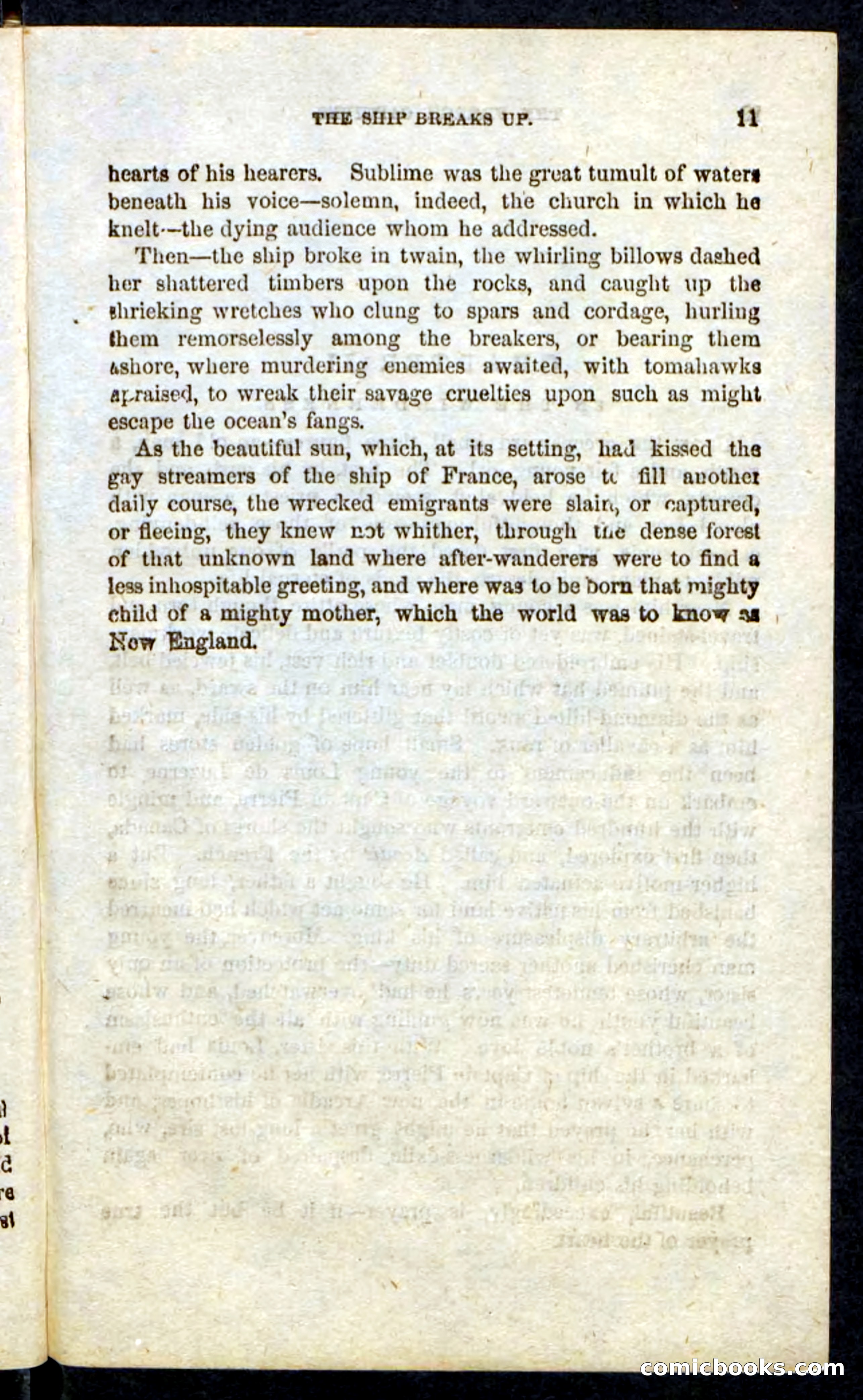 Beadle's Pocket Novels: Massasoit's Daughter — page 11 of 132