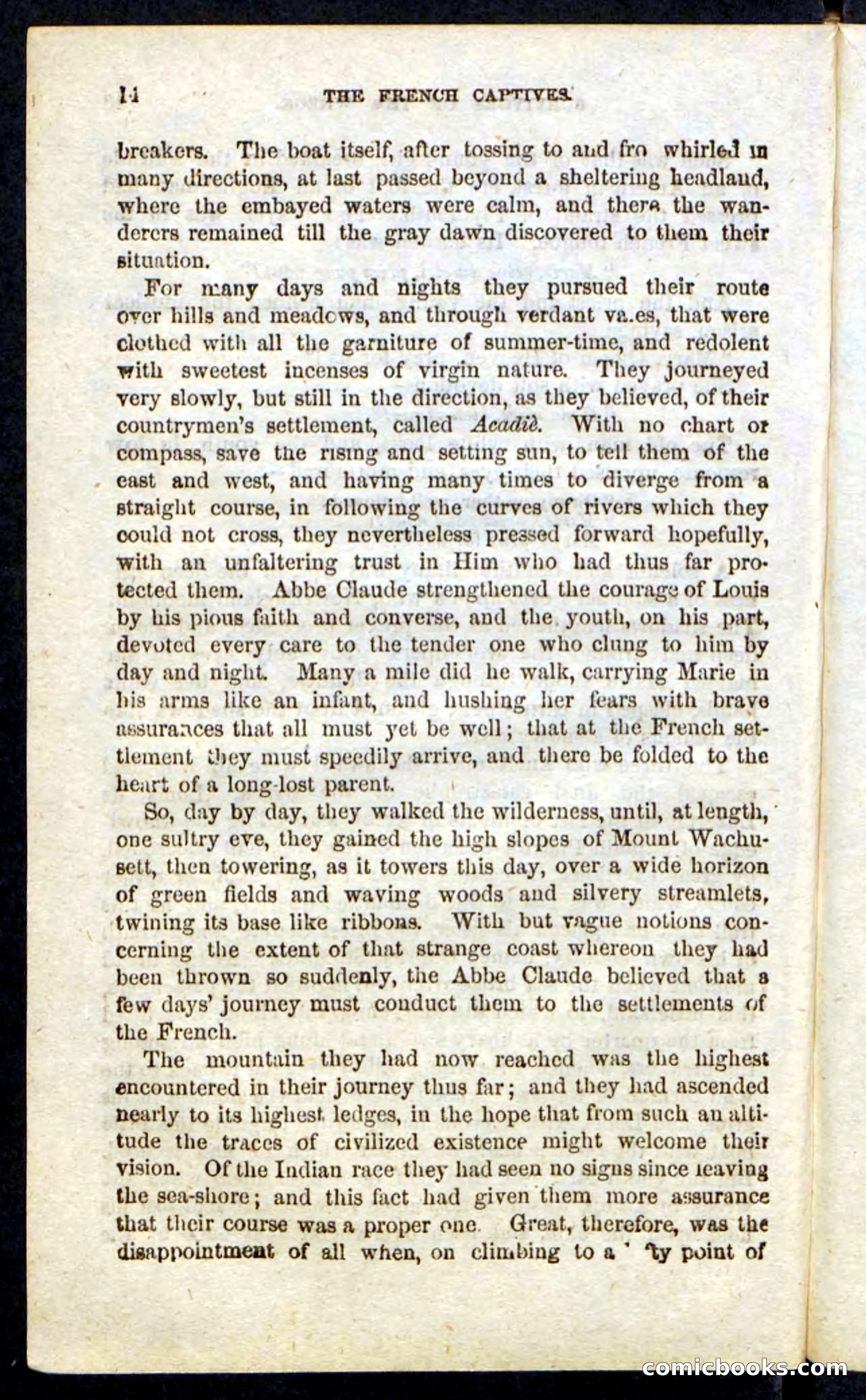 Beadle's Pocket Novels: Massasoit's Daughter — page 14 of 132