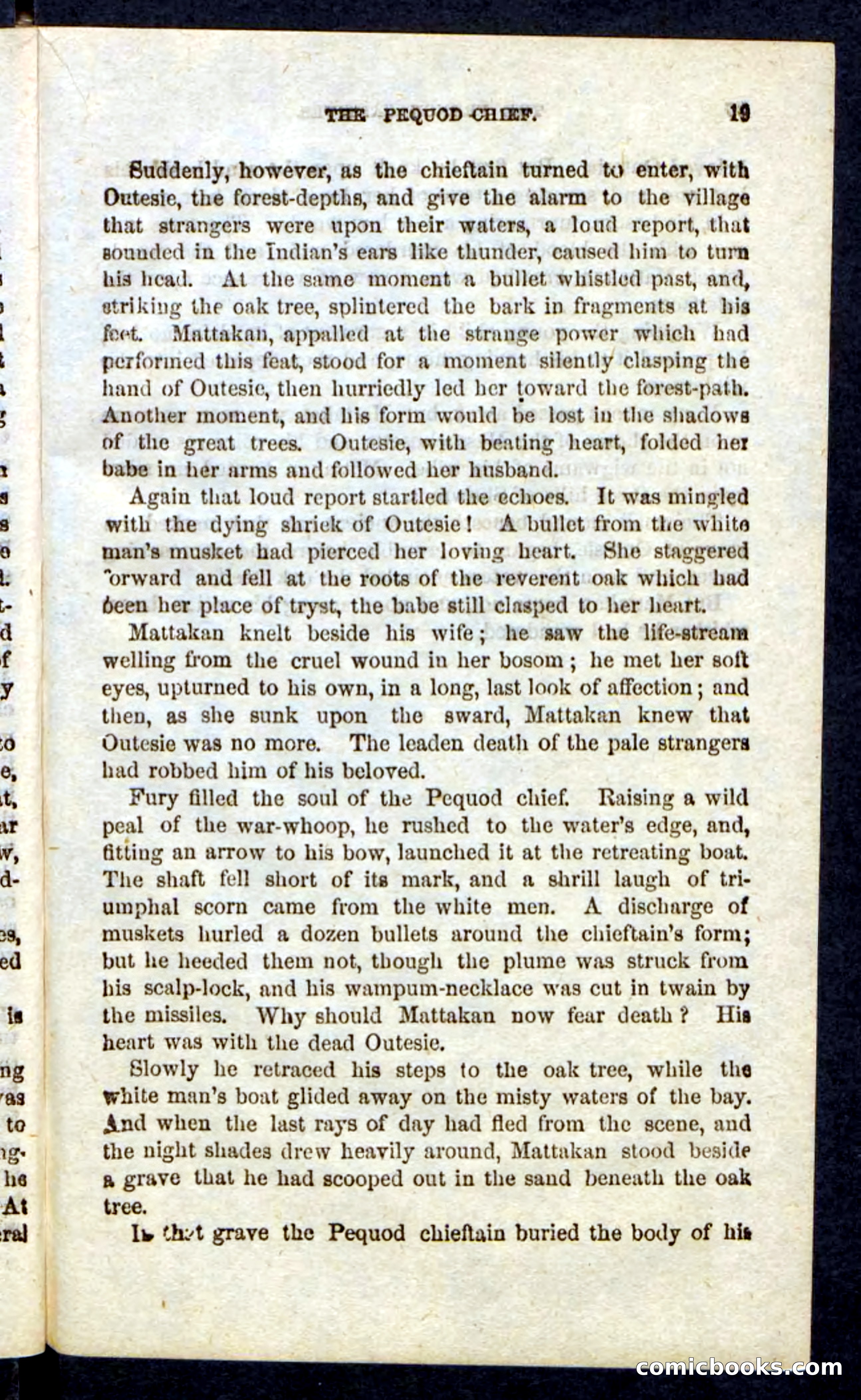 Beadle's Pocket Novels: Massasoit's Daughter — page 19 of 132