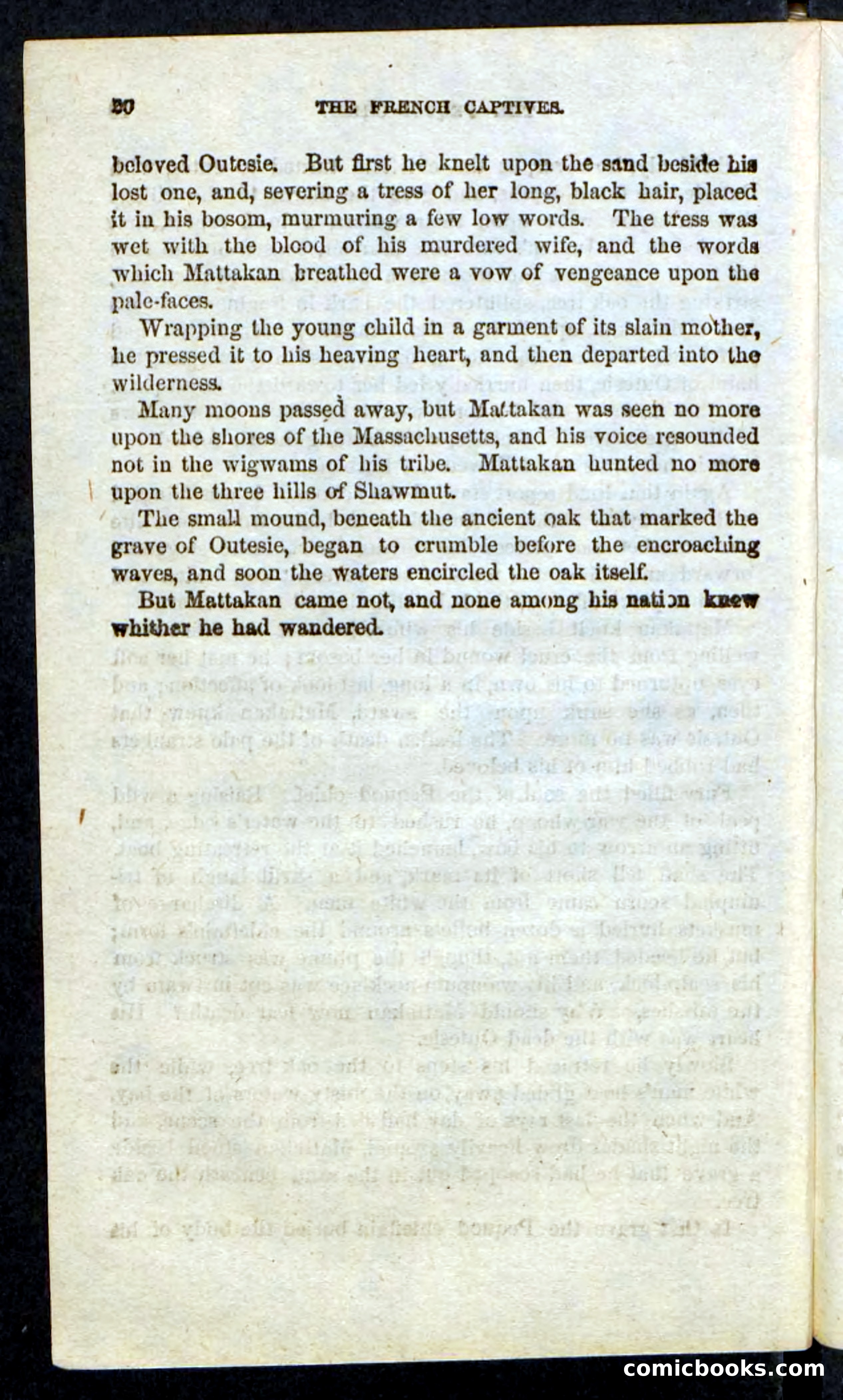 Beadle's Pocket Novels: Massasoit's Daughter — page 20 of 132
