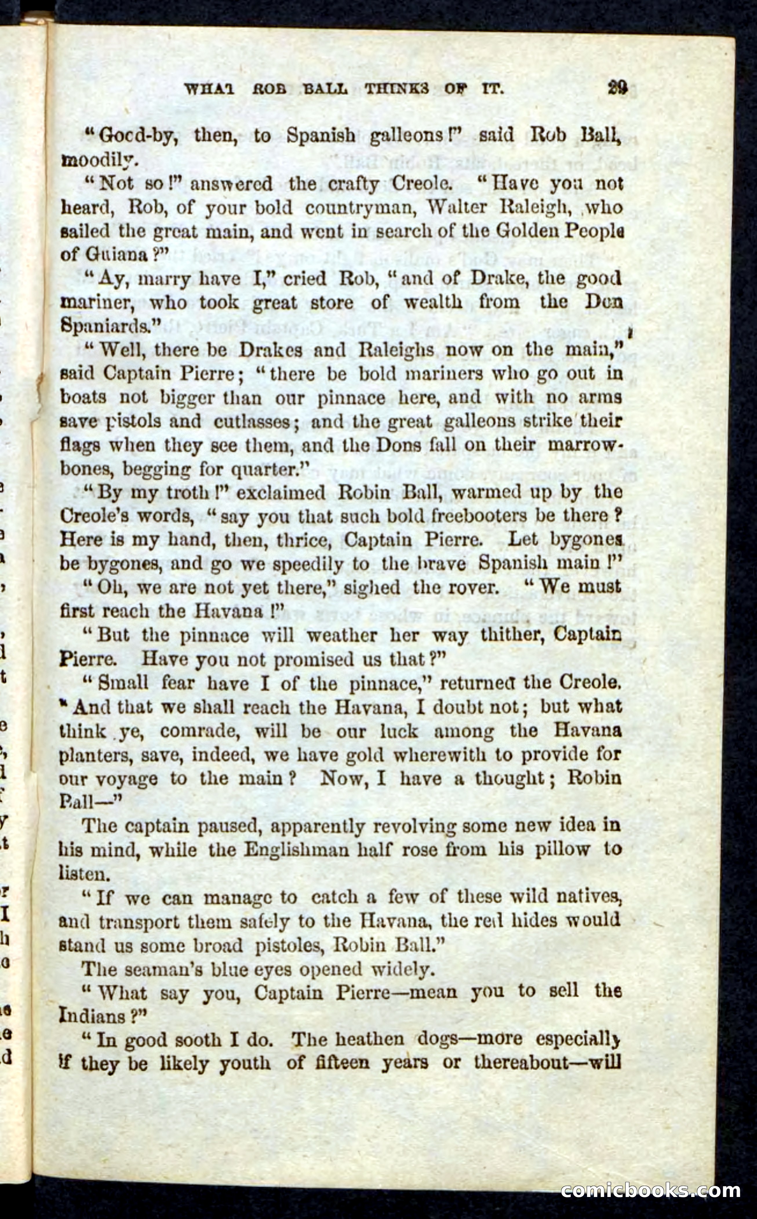 Beadle's Pocket Novels: Massasoit's Daughter — page 29 of 132