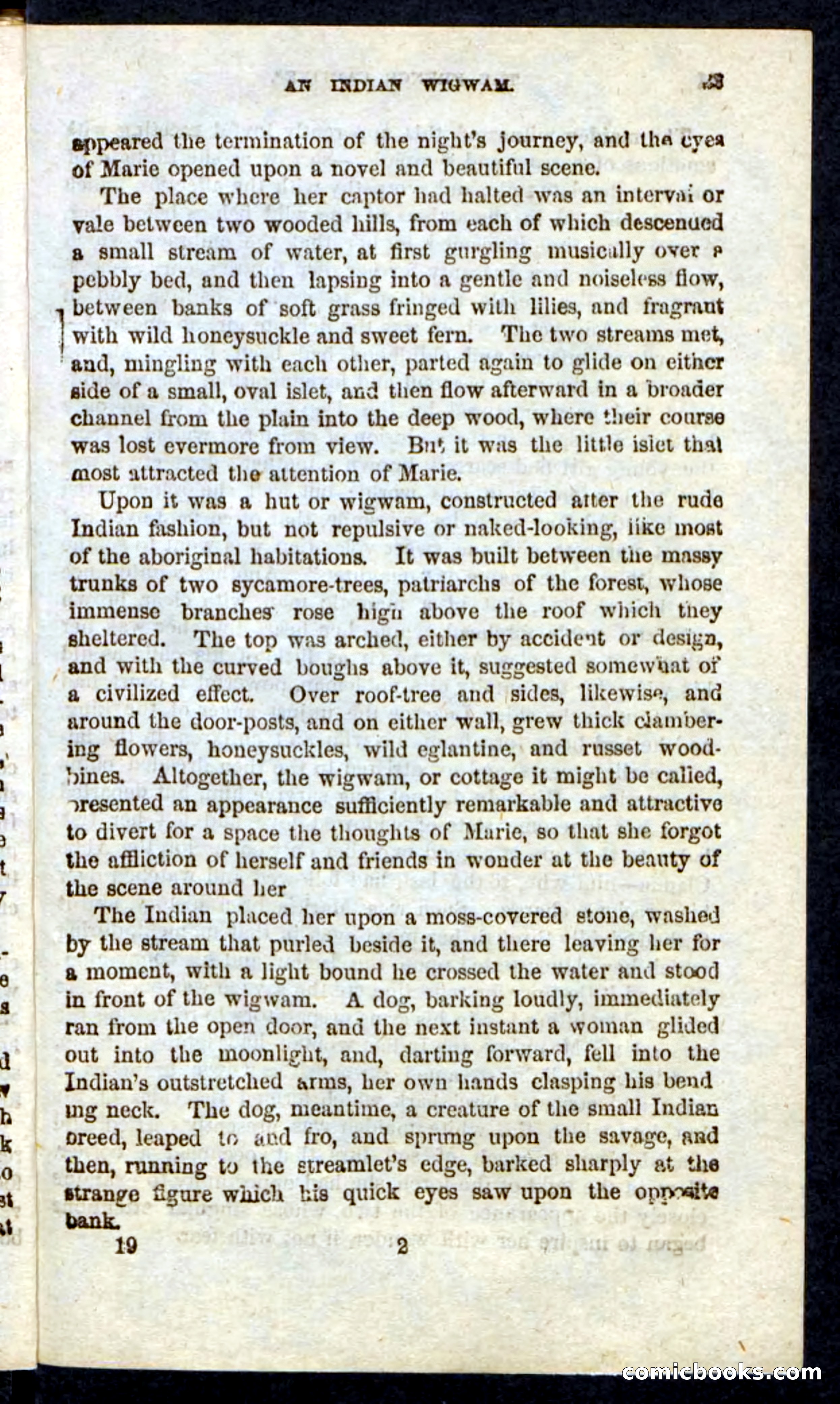 Beadle's Pocket Novels: Massasoit's Daughter — page 33 of 132
