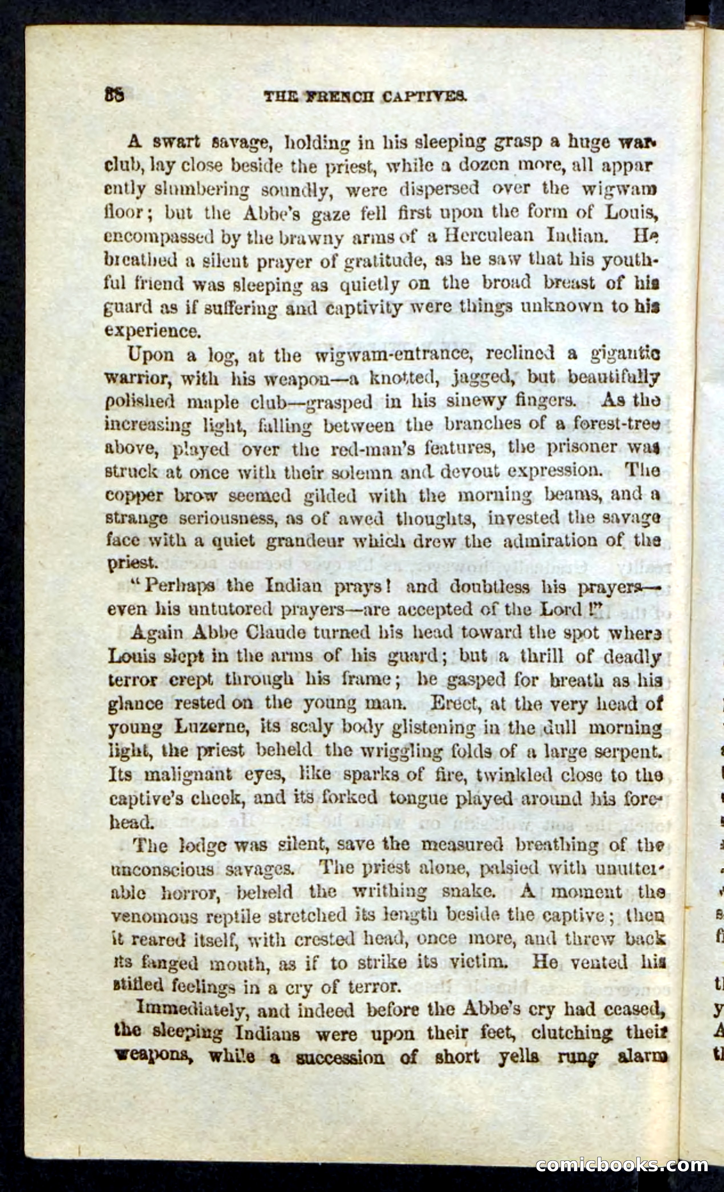 Beadle's Pocket Novels: Massasoit's Daughter — page 38 of 132