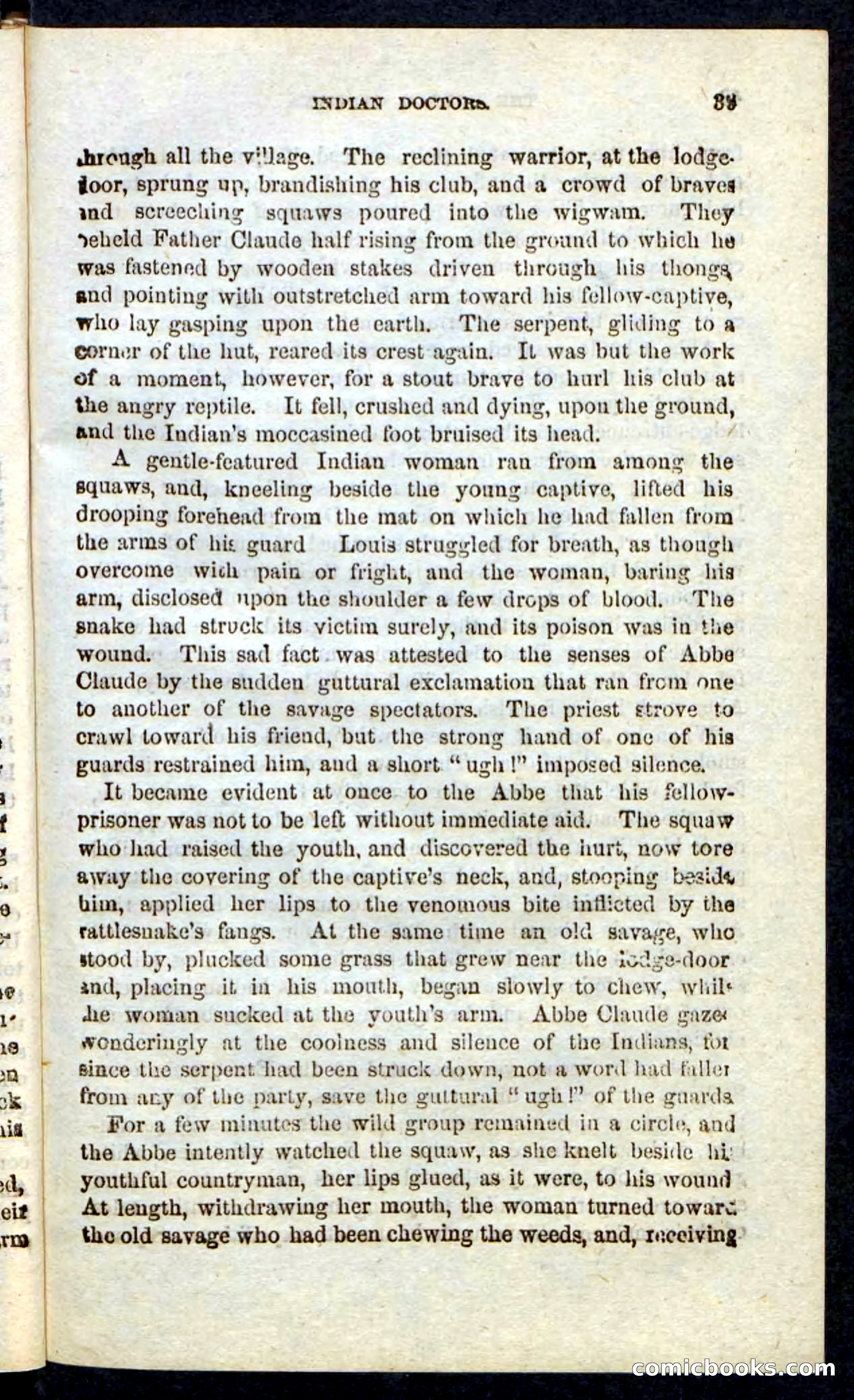 Beadle's Pocket Novels: Massasoit's Daughter — page 39 of 132