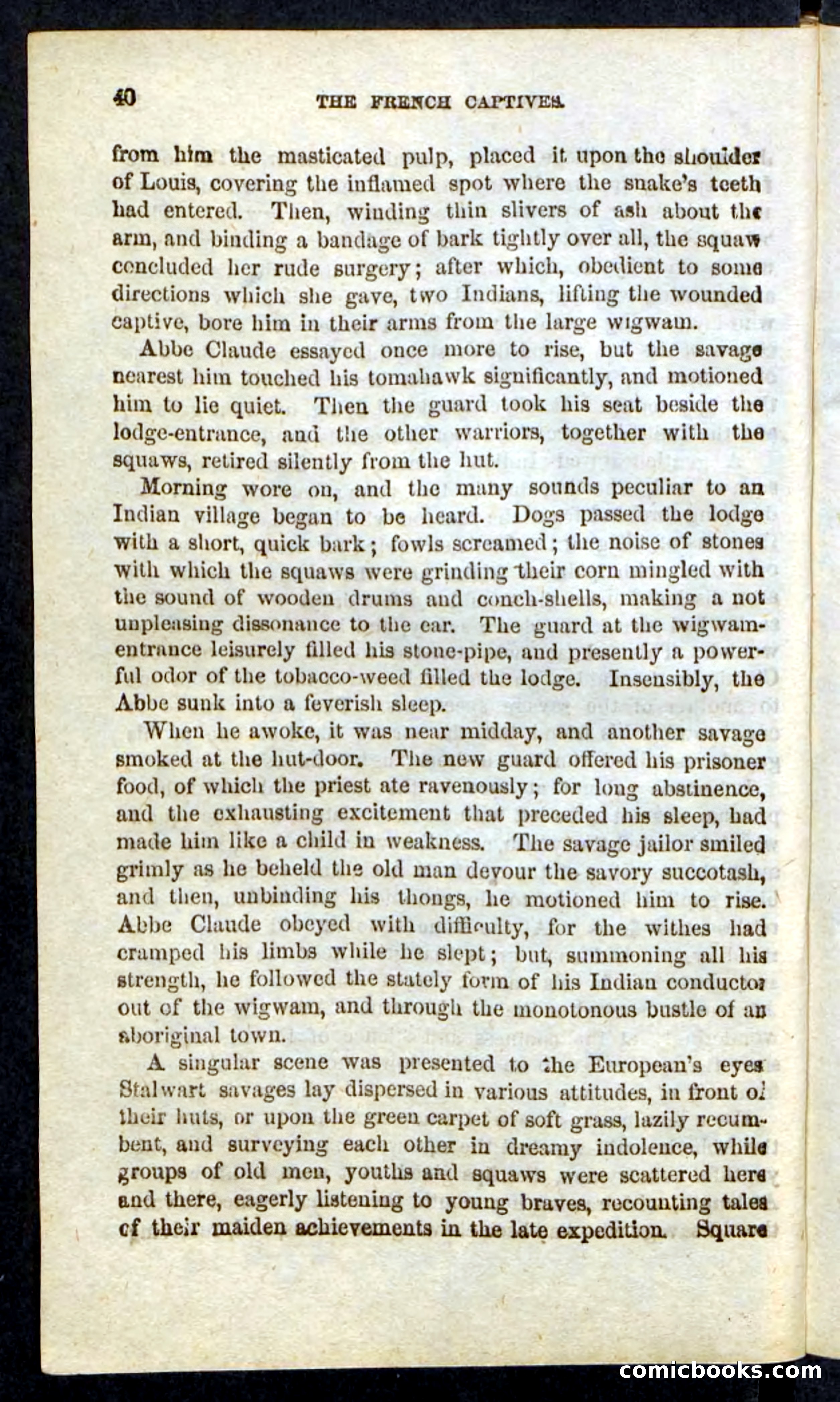 Beadle's Pocket Novels: Massasoit's Daughter — page 40 of 132