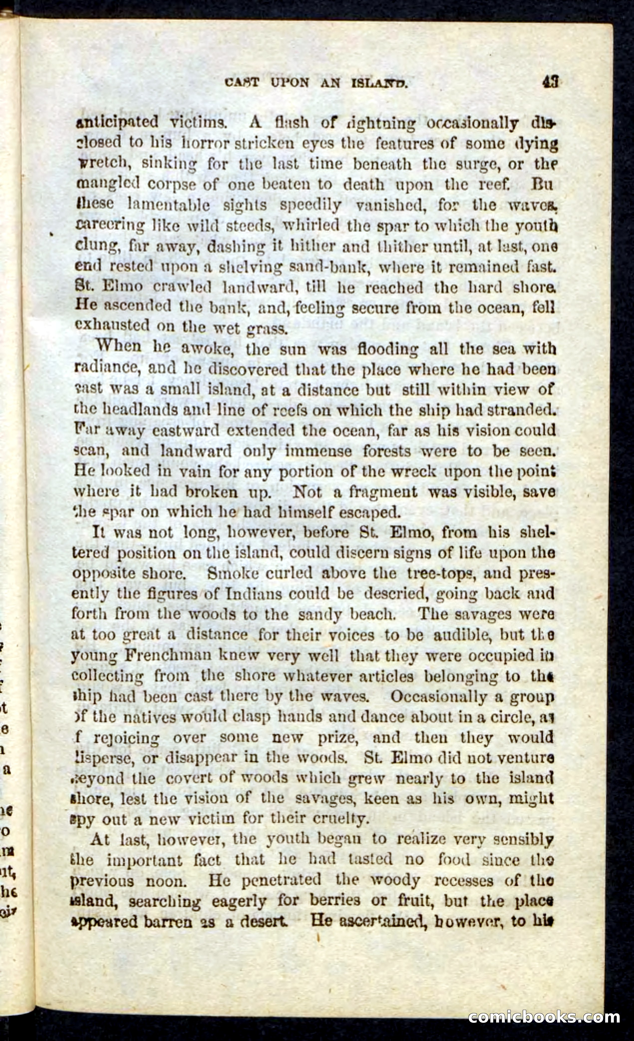 Beadle's Pocket Novels: Massasoit's Daughter — page 43 of 132