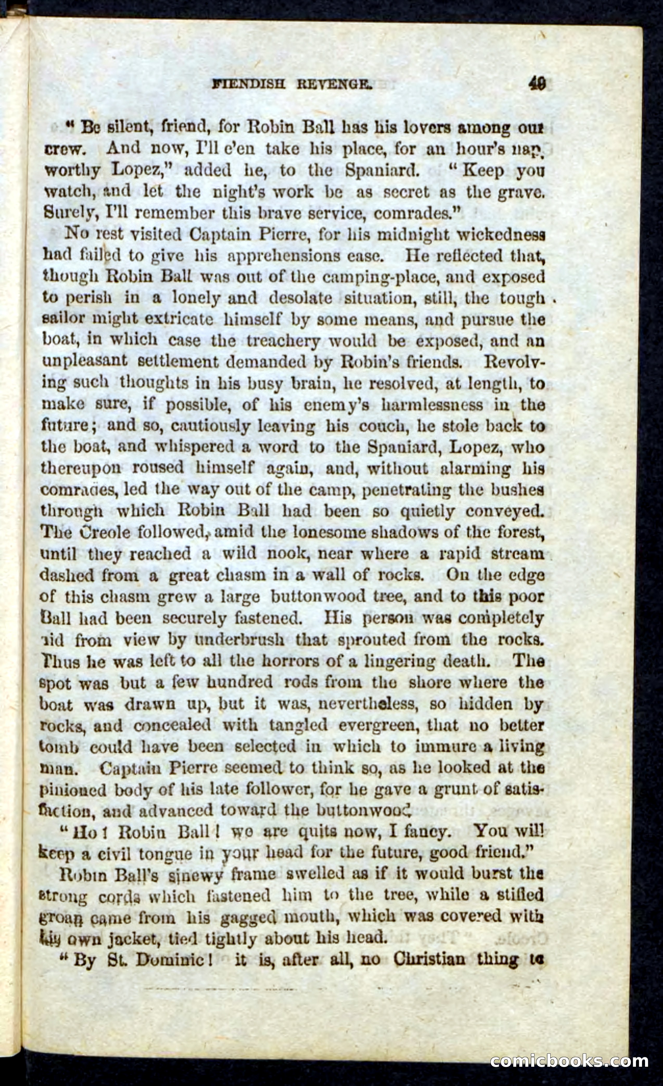 Beadle's Pocket Novels: Massasoit's Daughter — page 49 of 132