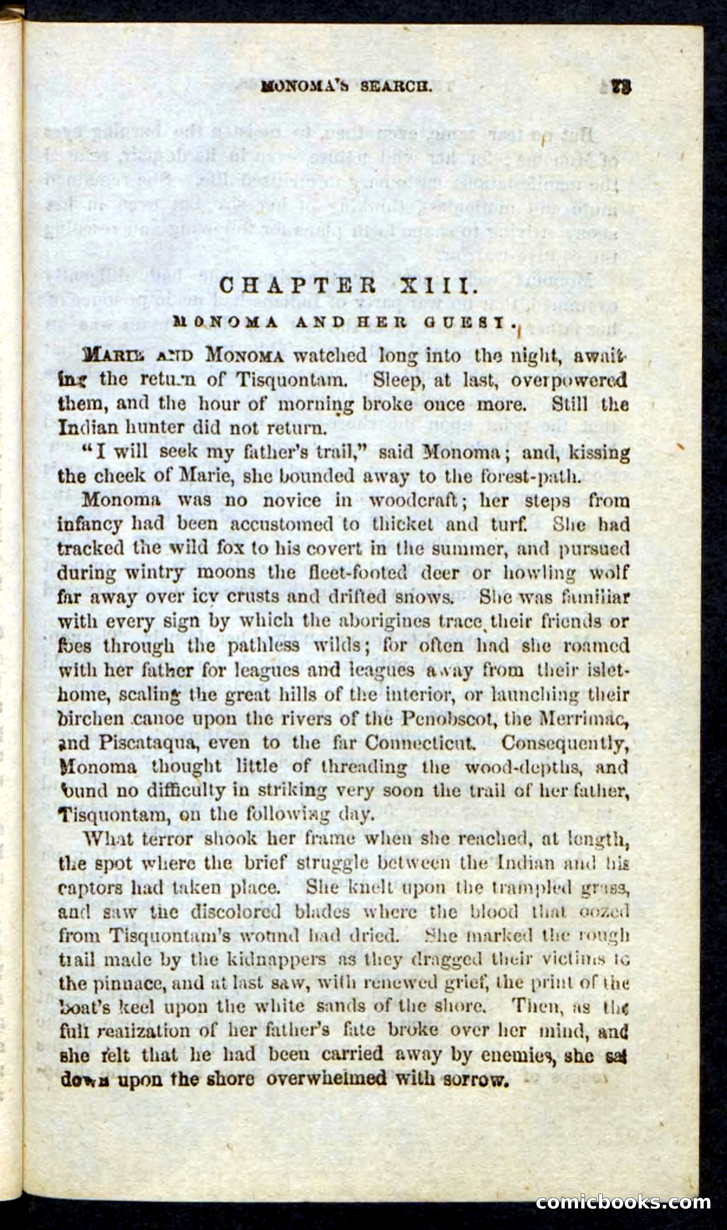 Beadle's Pocket Novels: Massasoit's Daughter — page 73 of 132