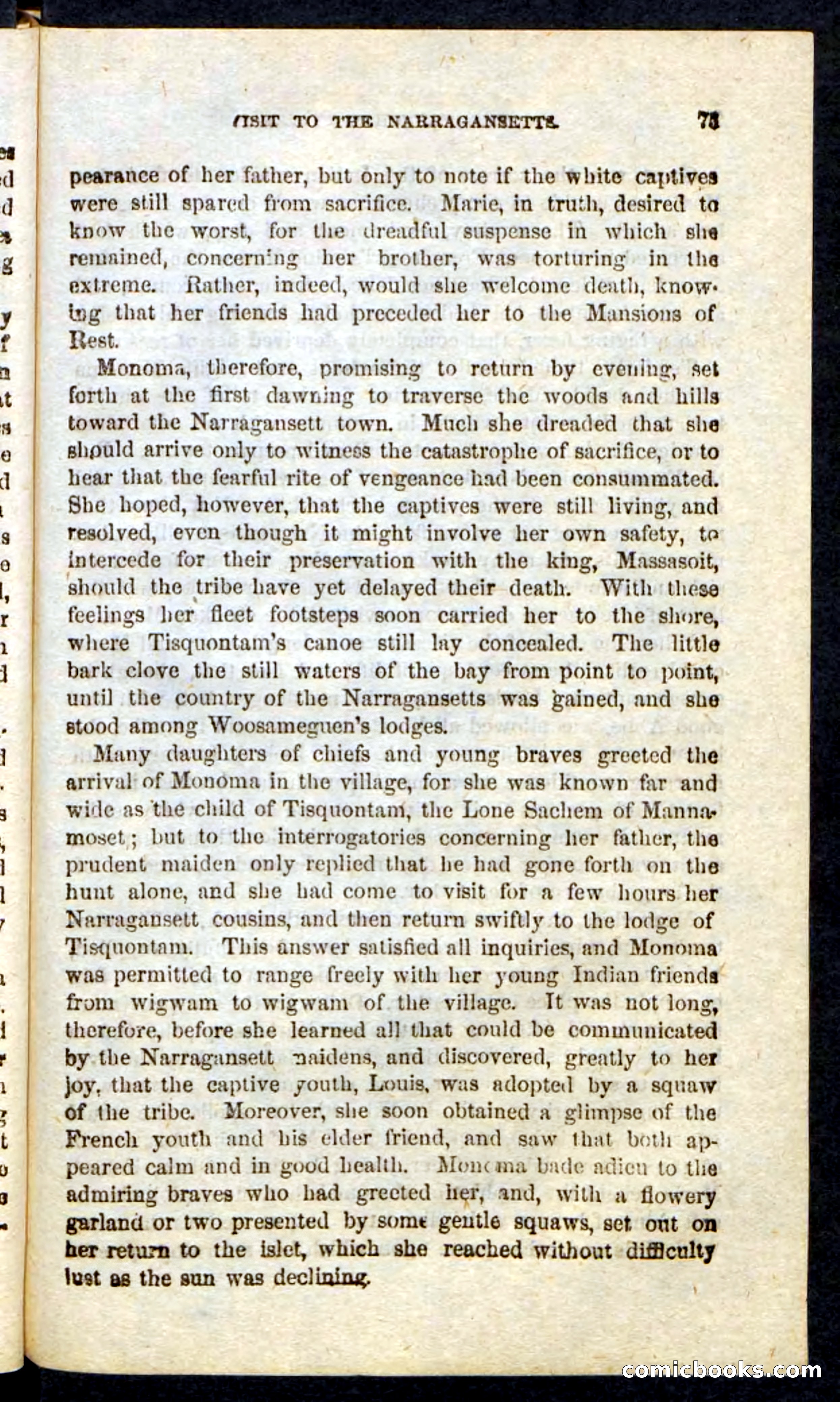 Beadle's Pocket Novels: Massasoit's Daughter — page 75 of 132
