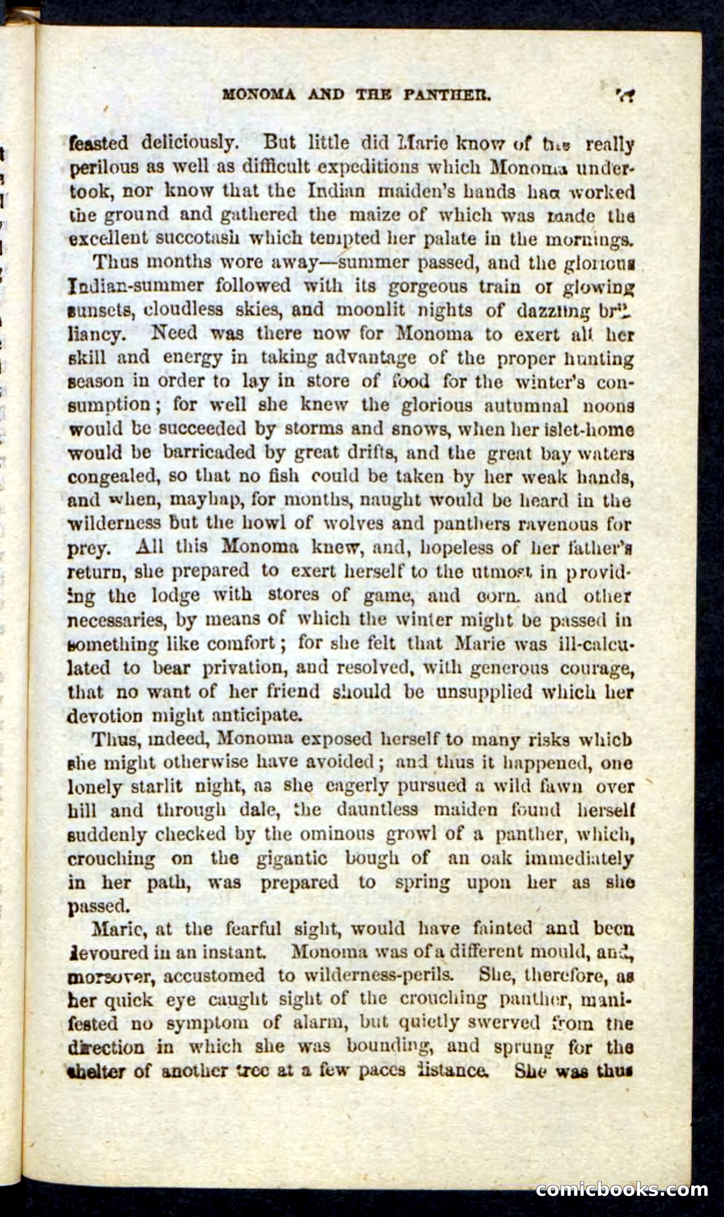 Beadle's Pocket Novels: Massasoit's Daughter — page 77 of 132