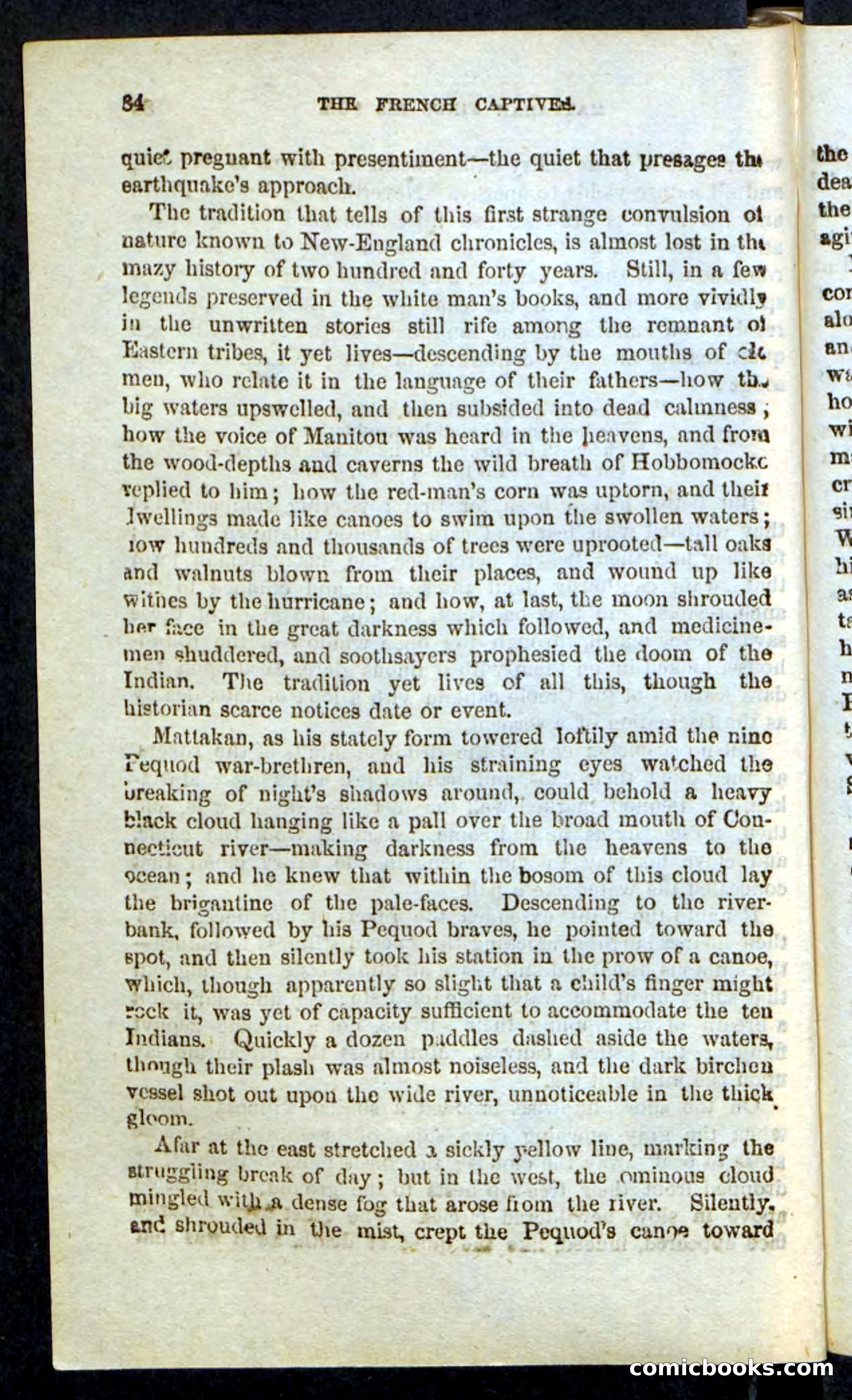 Beadle's Pocket Novels: Massasoit's Daughter — page 84 of 132