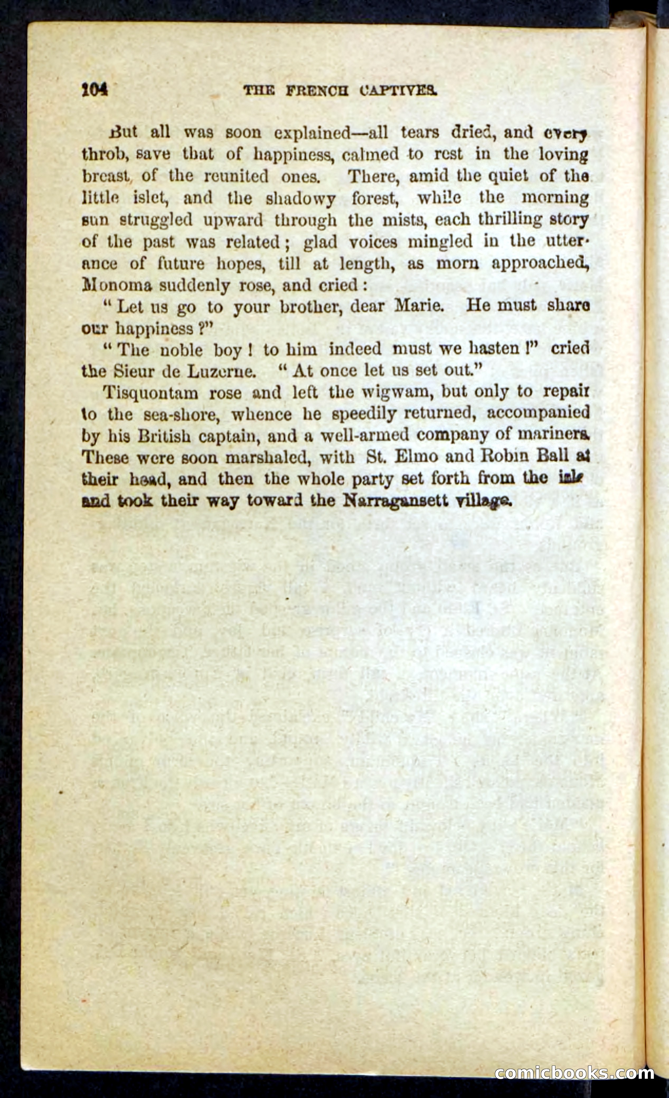 Beadle's Pocket Novels: Massasoit's Daughter — page 104 of 132