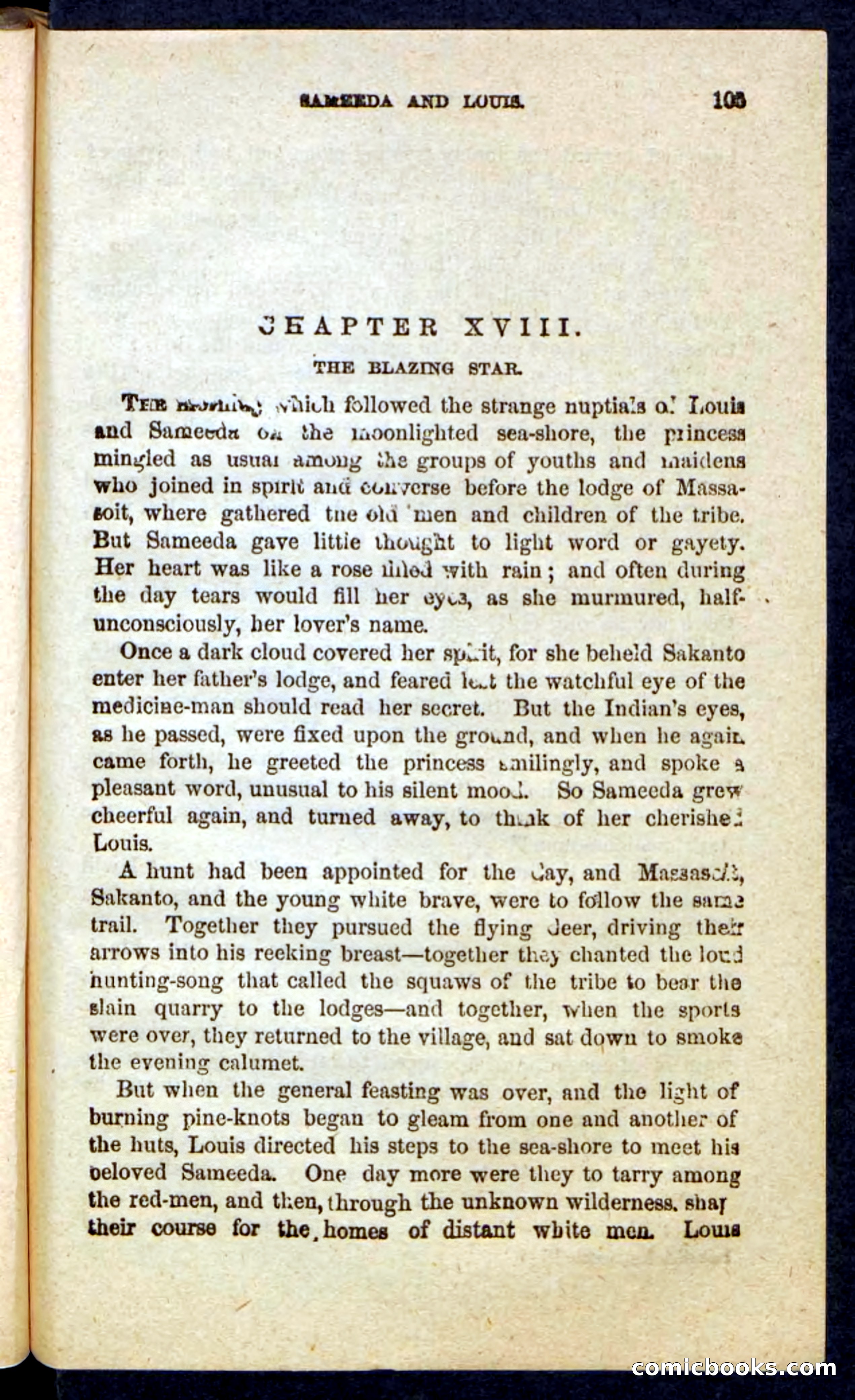 Beadle's Pocket Novels: Massasoit's Daughter — page 105 of 132