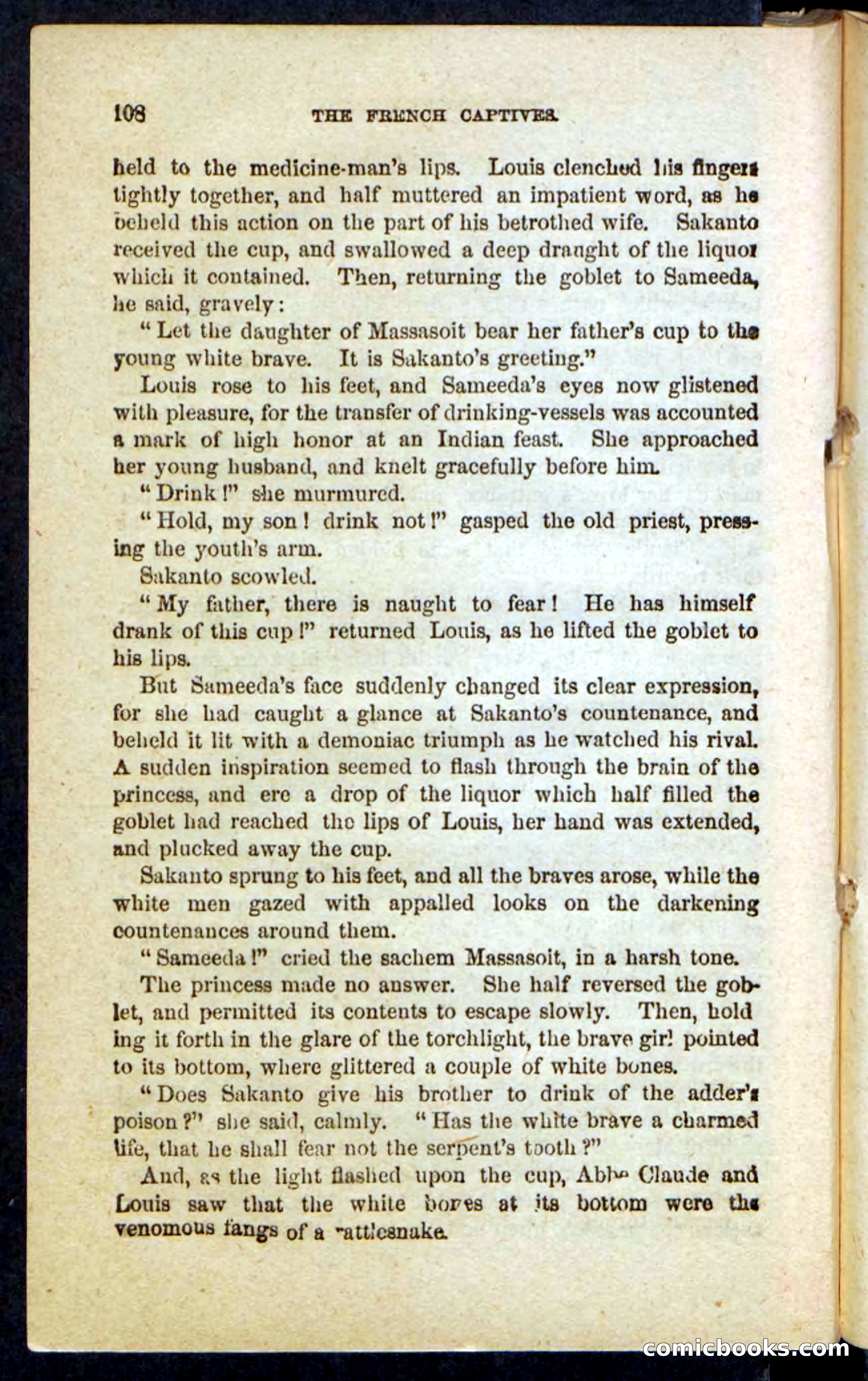 Beadle's Pocket Novels: Massasoit's Daughter — page 108 of 132