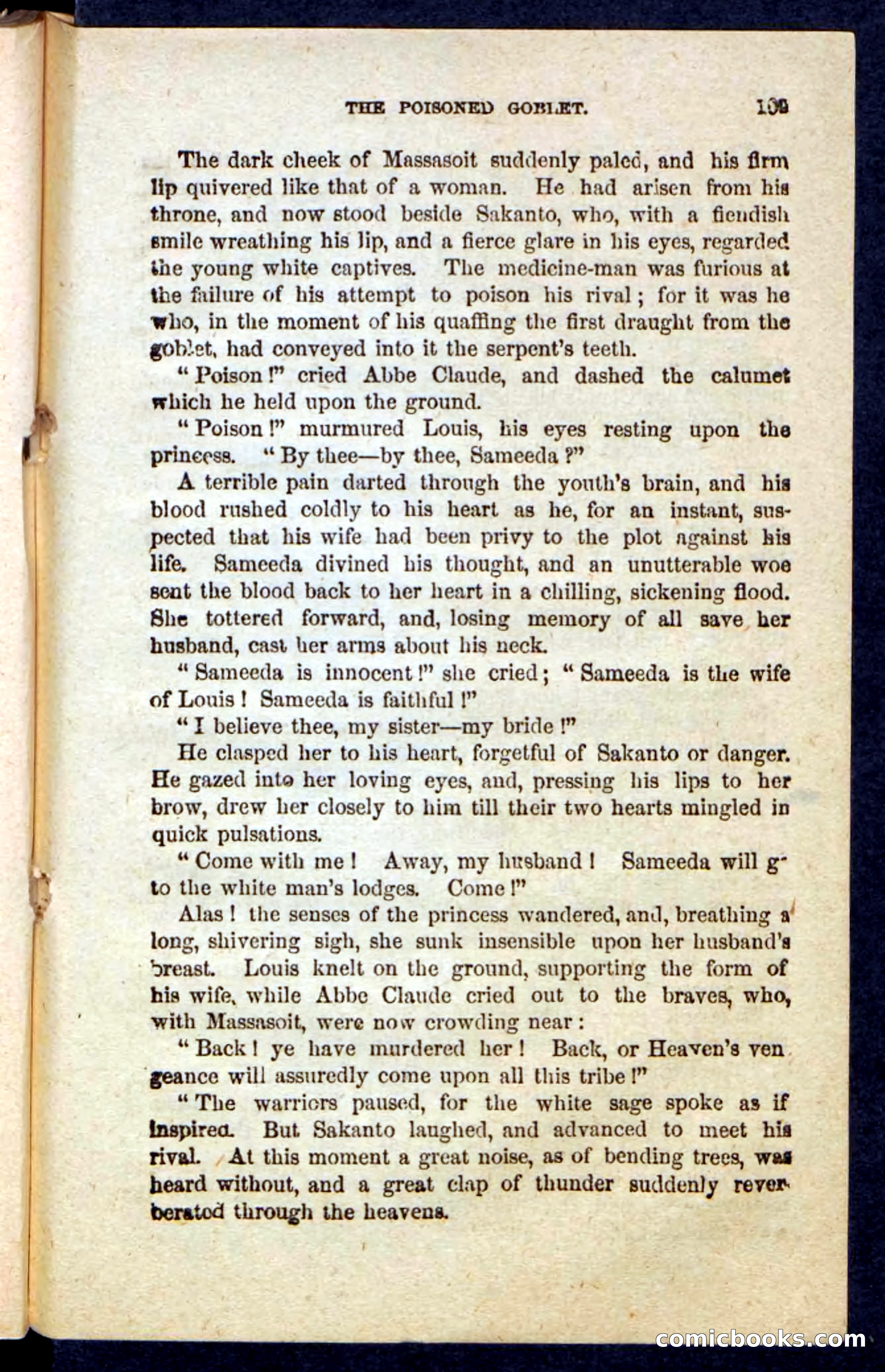 Beadle's Pocket Novels: Massasoit's Daughter — page 109 of 132
