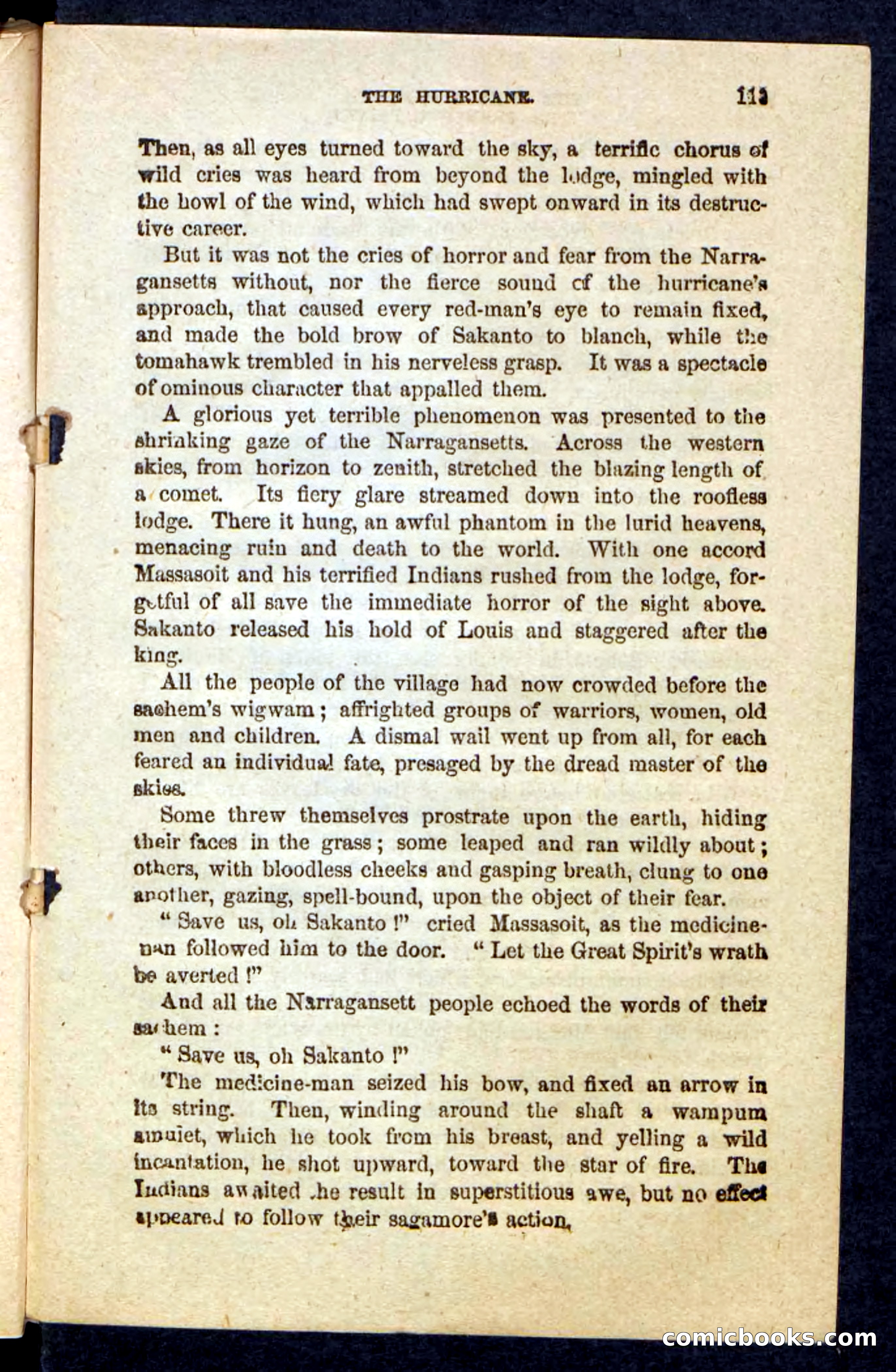 Beadle's Pocket Novels: Massasoit's Daughter — page 113 of 132