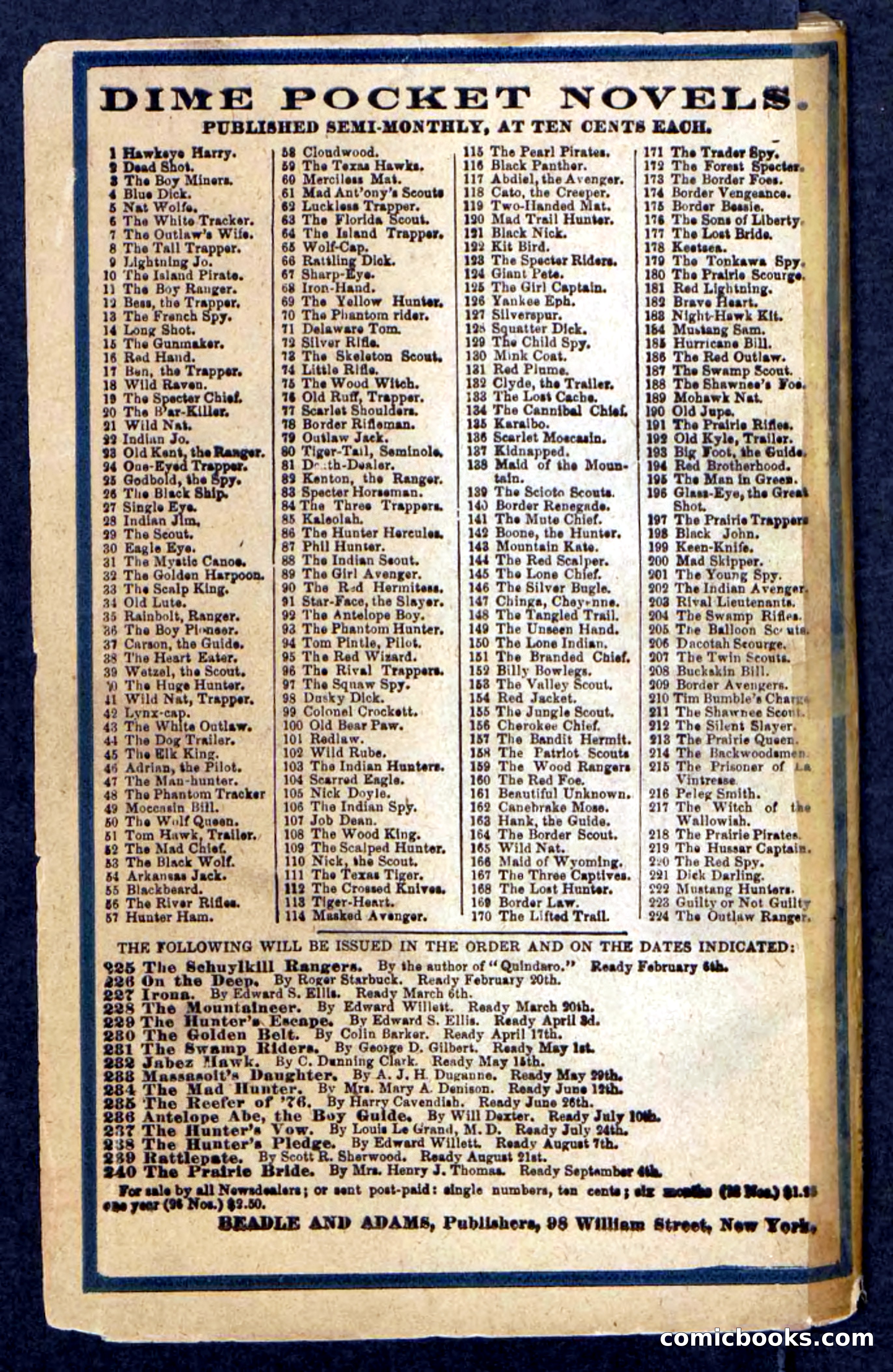 Beadle's Pocket Novels: Massasoit's Daughter — page 132 of 132