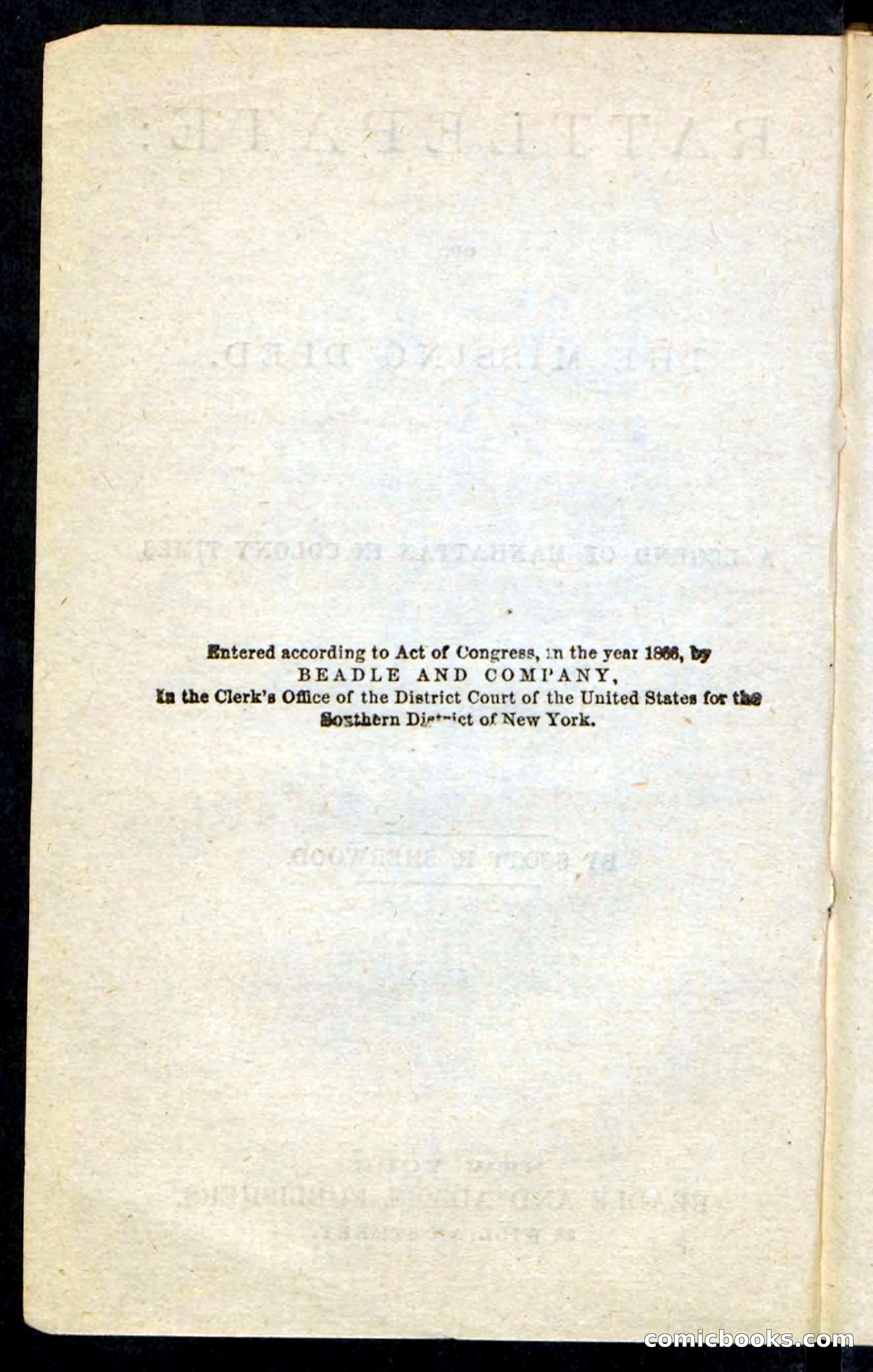 Beadle's Pocket Novels No. 239: Rattlepate — page 4 of 100