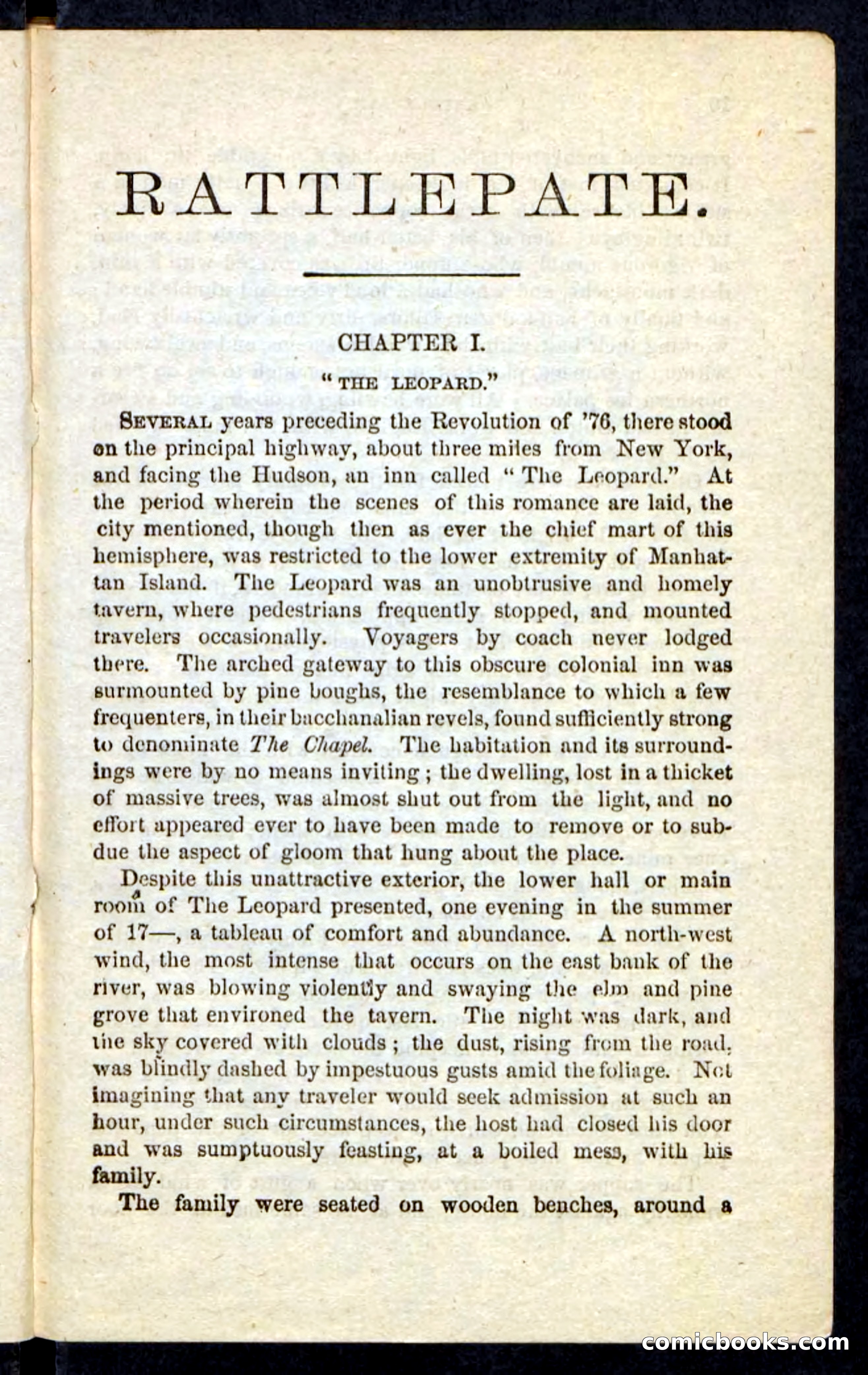 Beadle's Pocket Novels No. 239: Rattlepate — page 5 of 100
