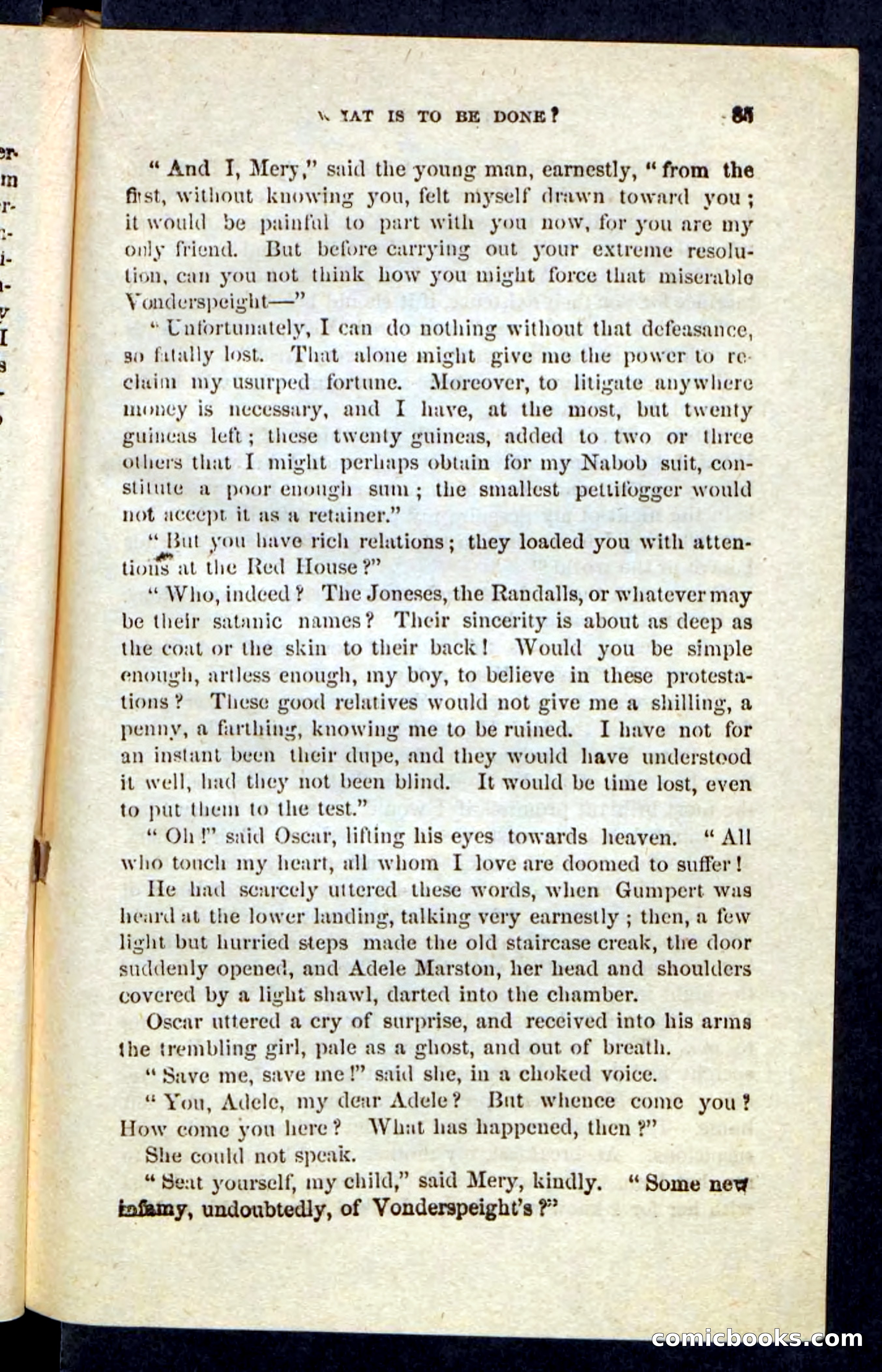 Beadle's Pocket Novels No. 239: Rattlepate — page 81 of 100