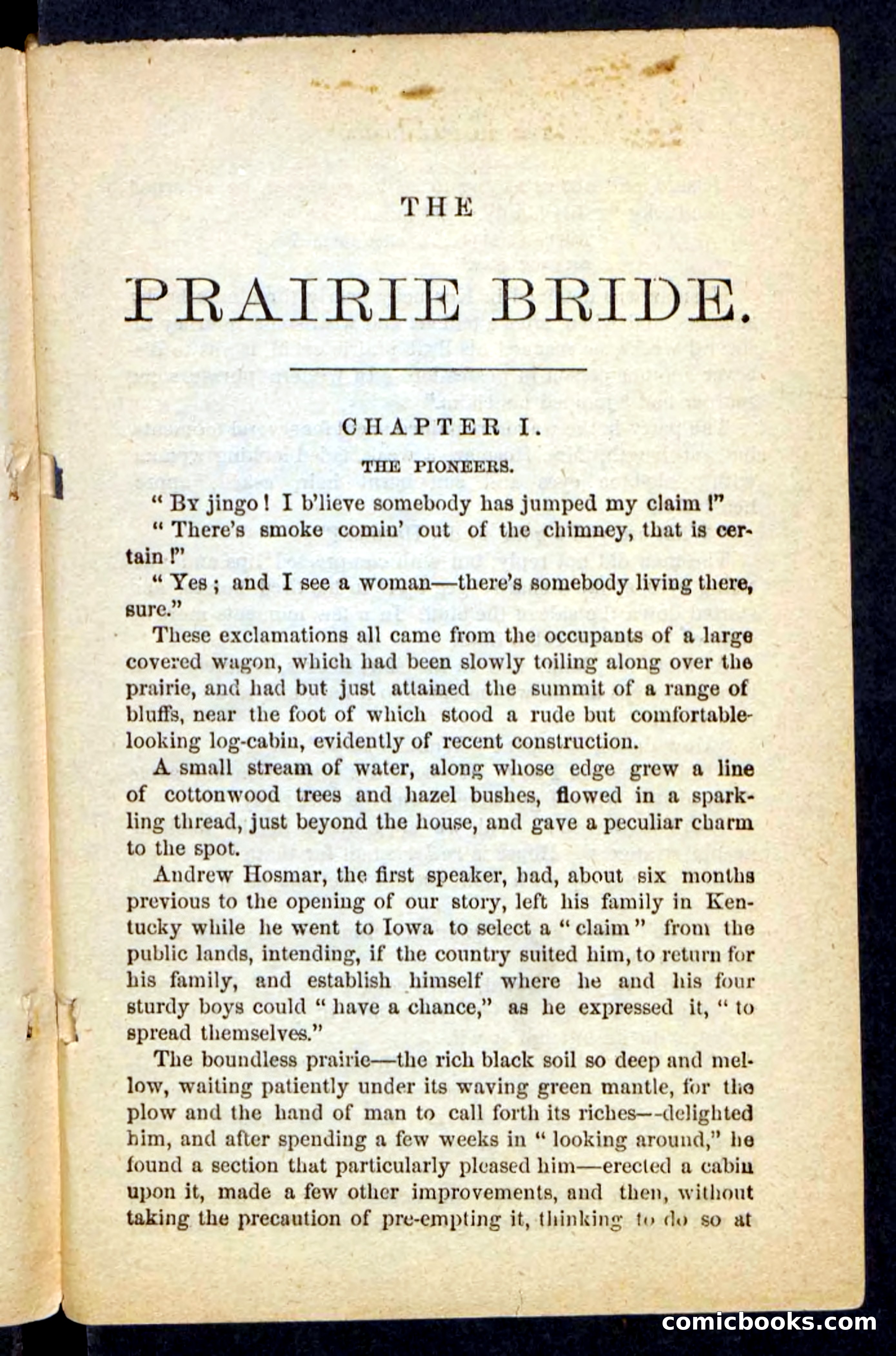 The Prairie Bride — page 5 of 100