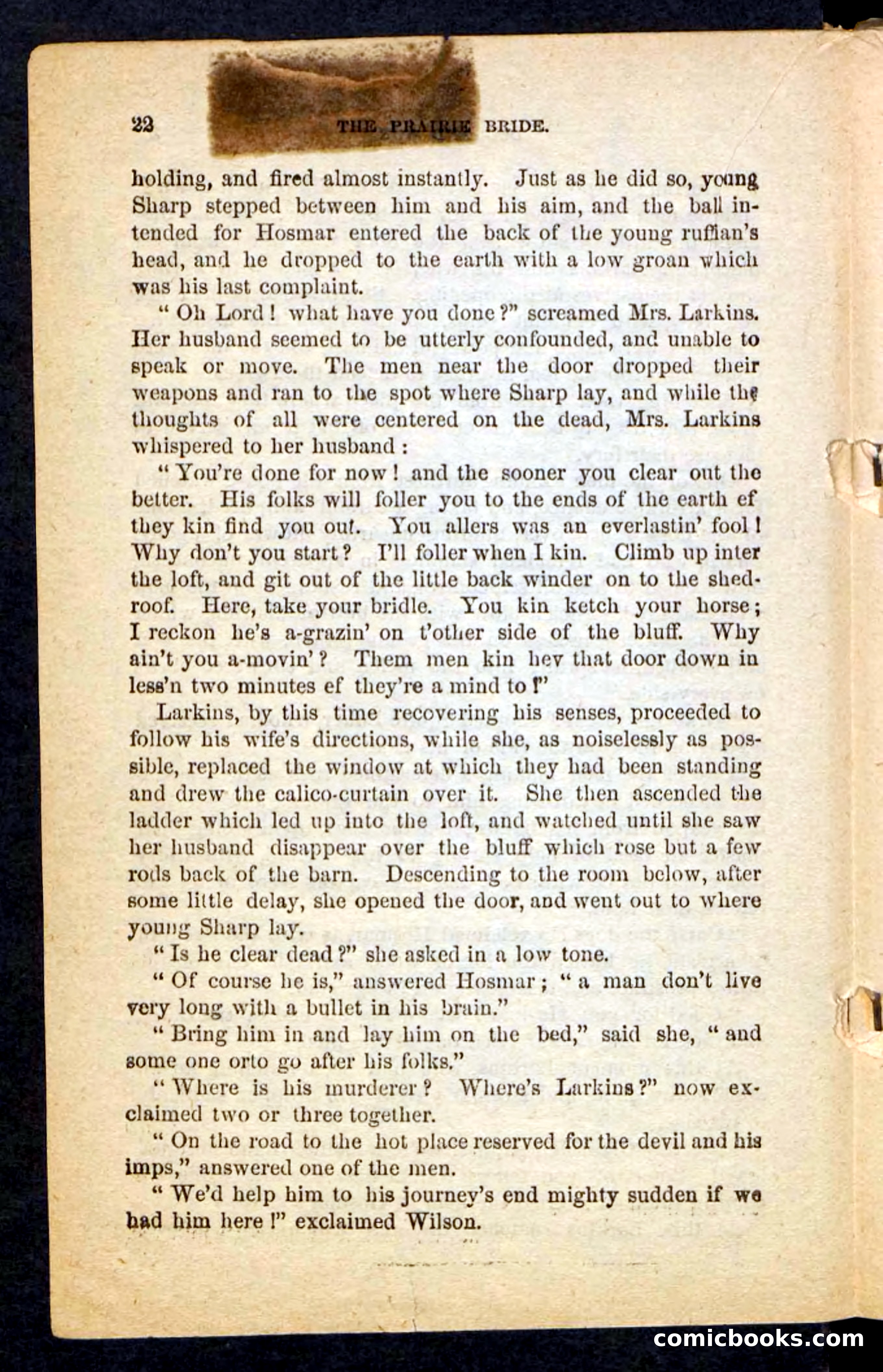 The Prairie Bride — page 18 of 100