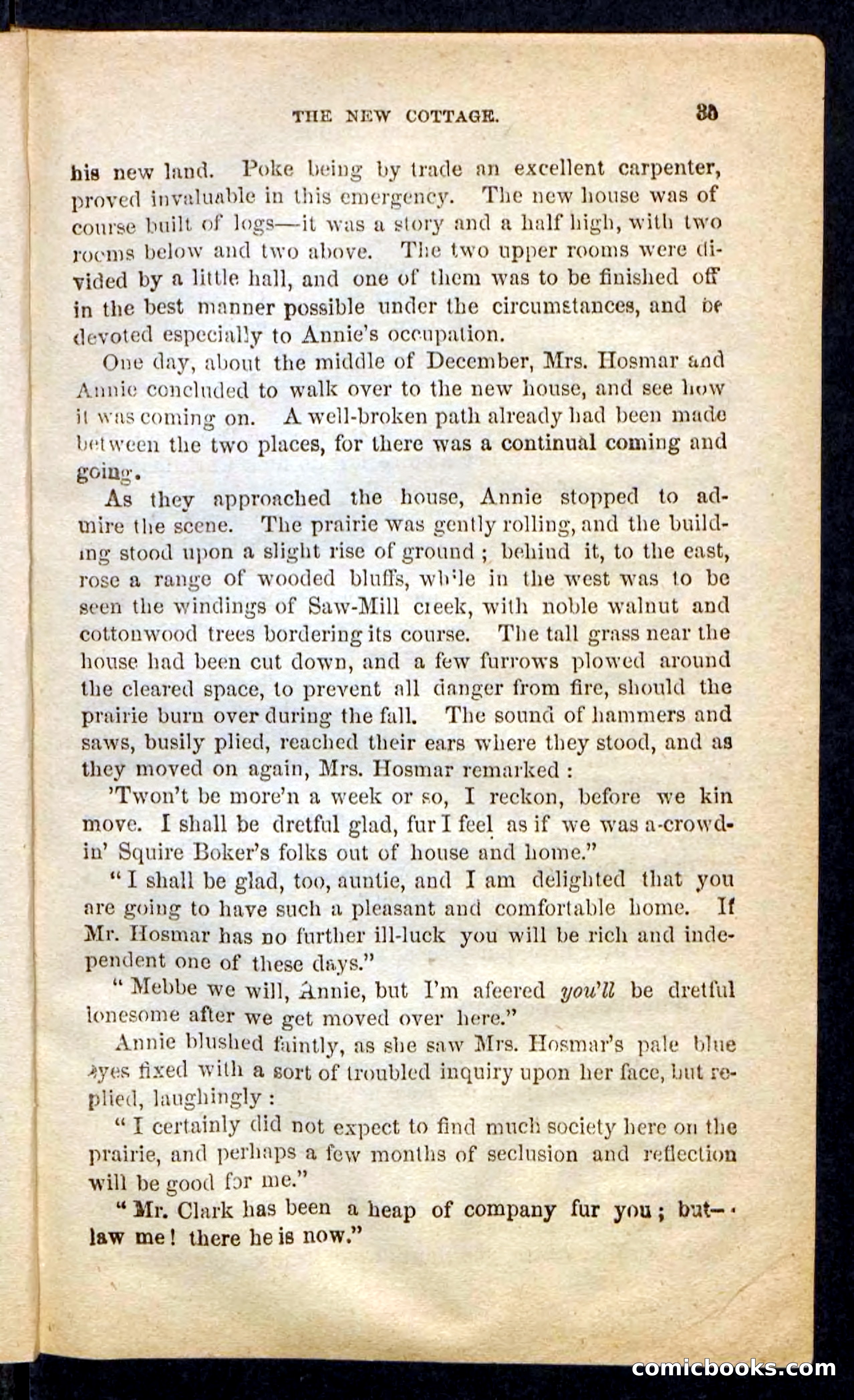 The Prairie Bride — page 31 of 100