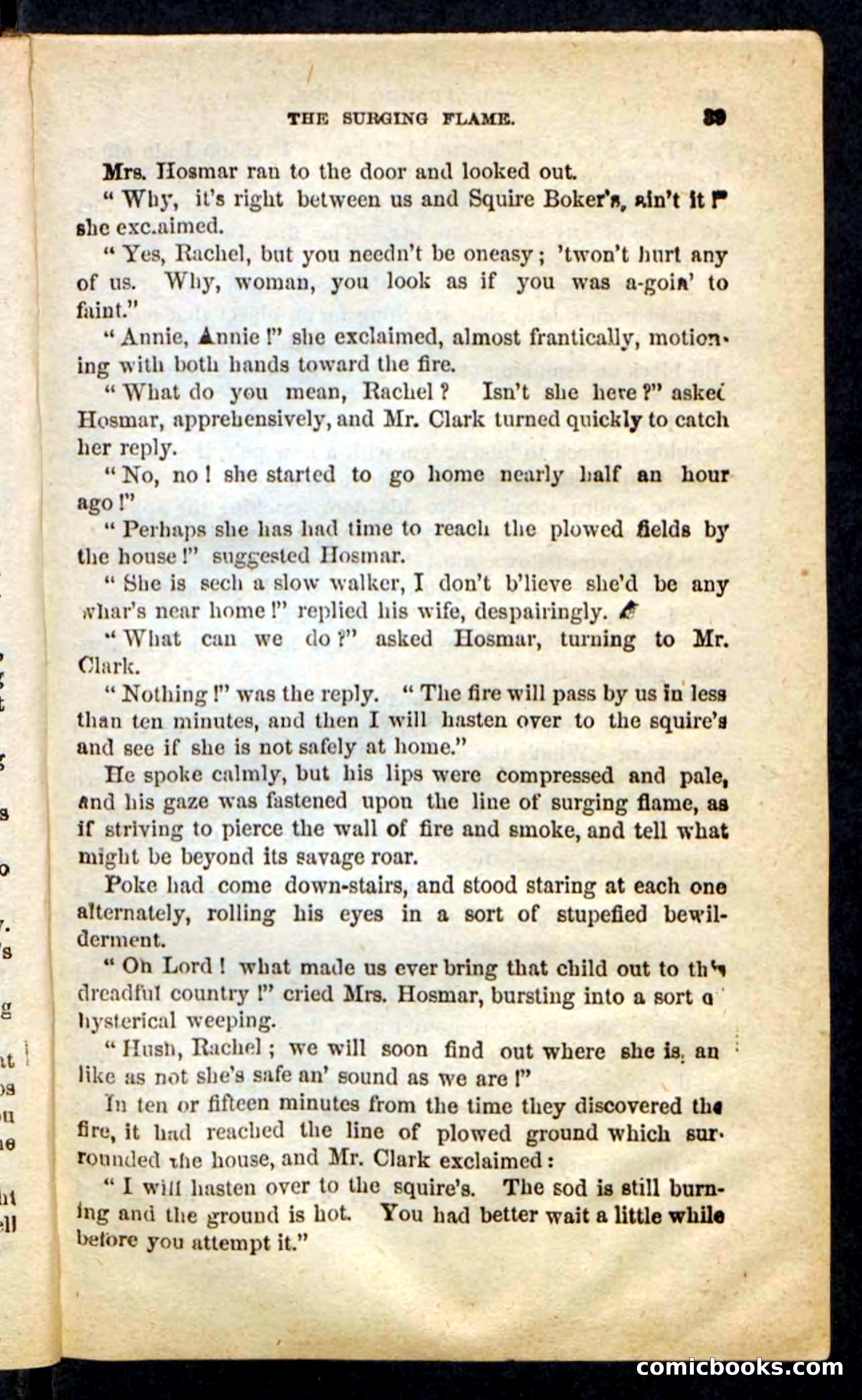 The Prairie Bride — page 35 of 100