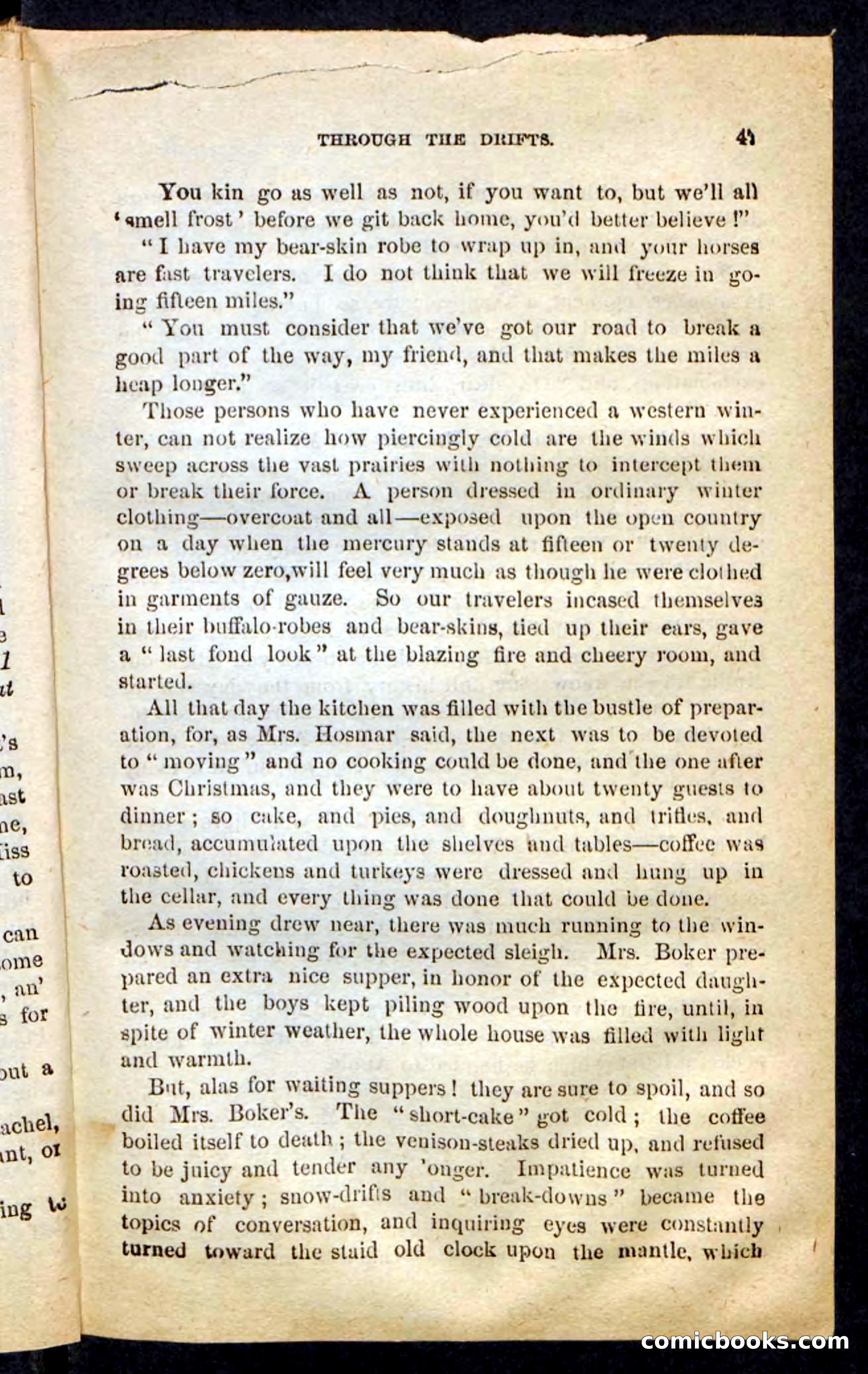 The Prairie Bride — page 43 of 100