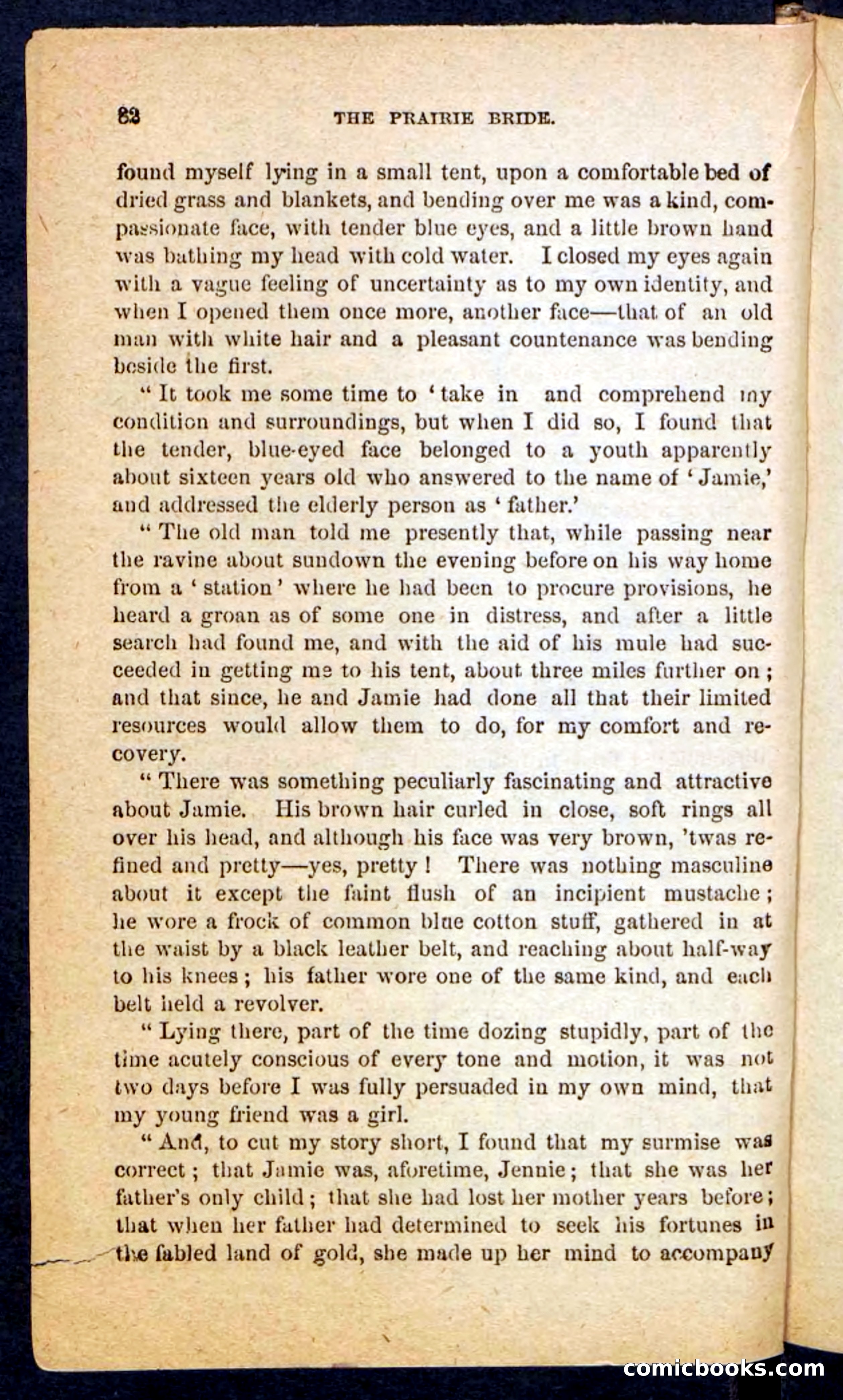 The Prairie Bride — page 78 of 100