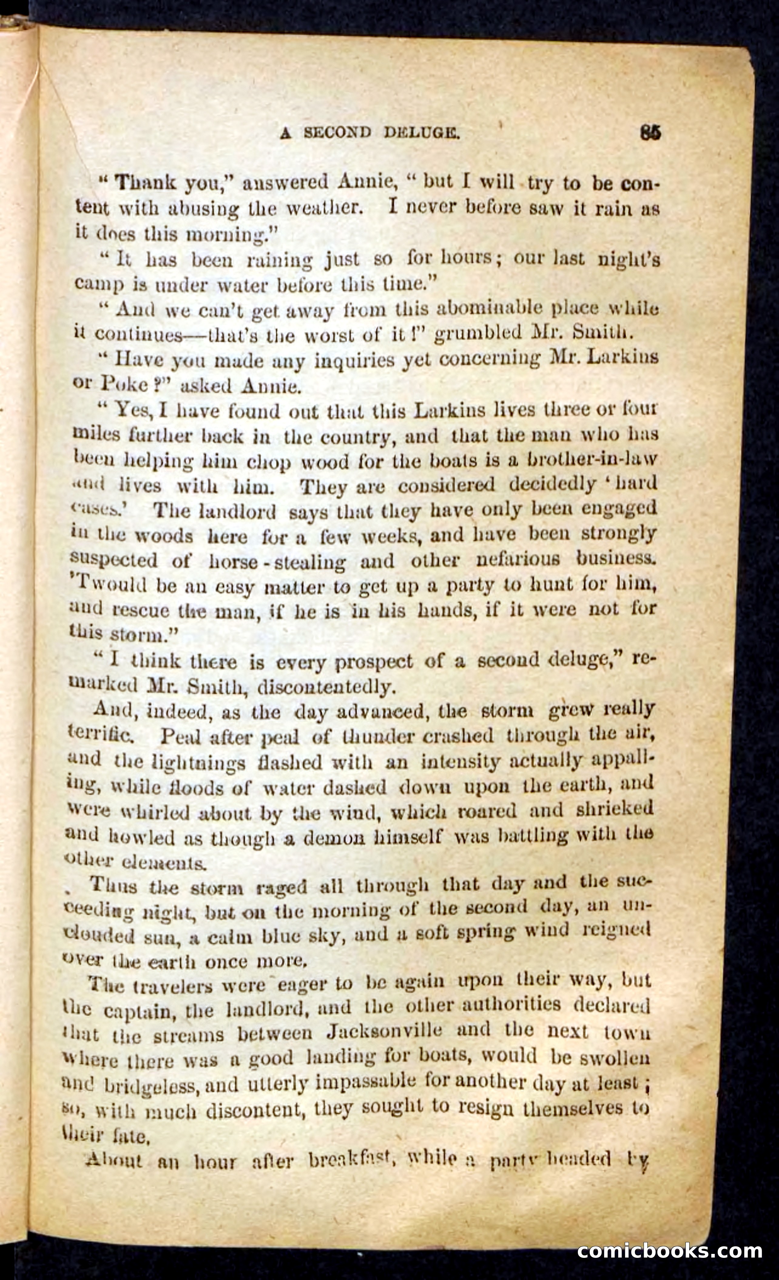 The Prairie Bride — page 81 of 100