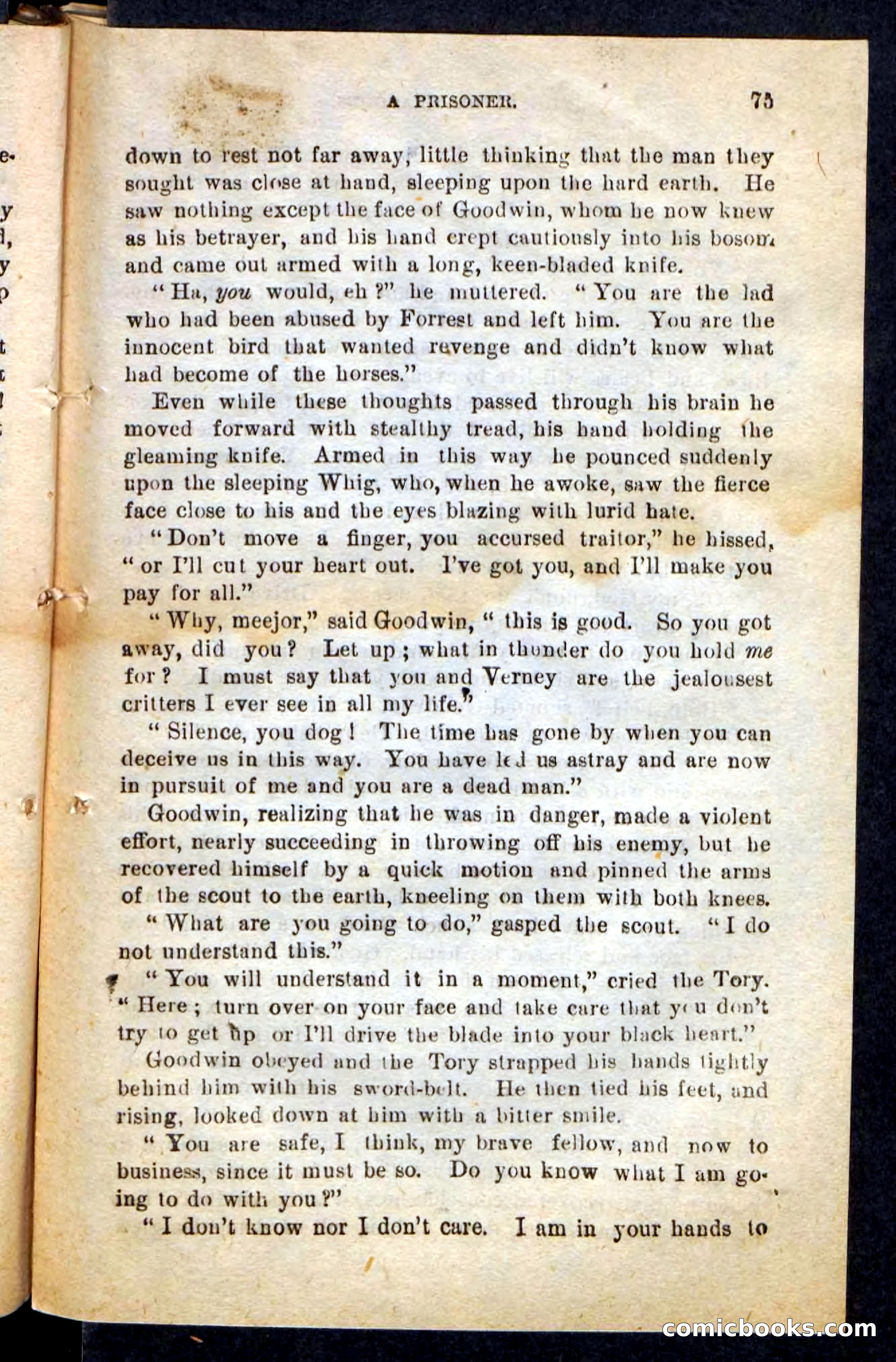 The Dashing Dragoons — page 71 of 100