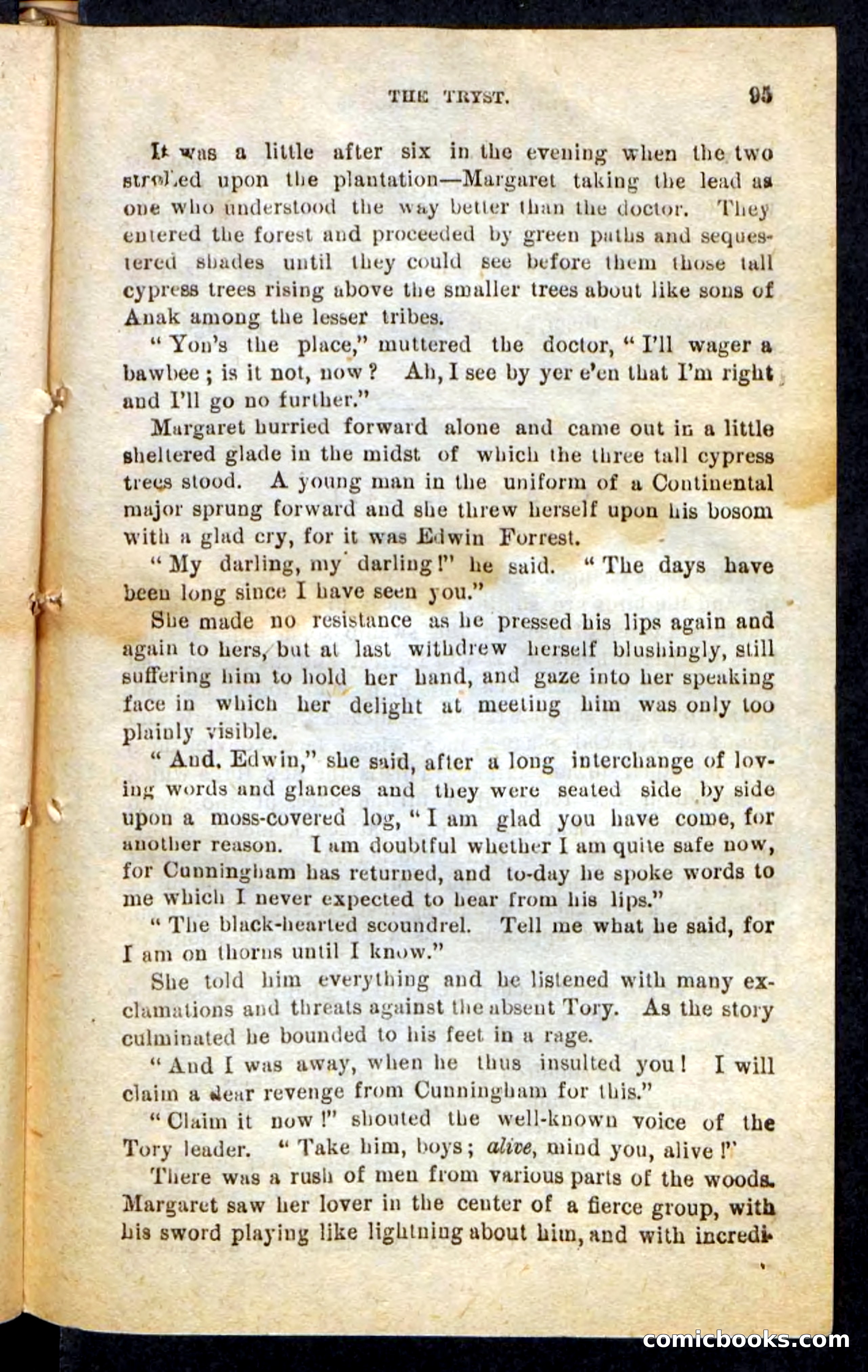 The Dashing Dragoons — page 91 of 100