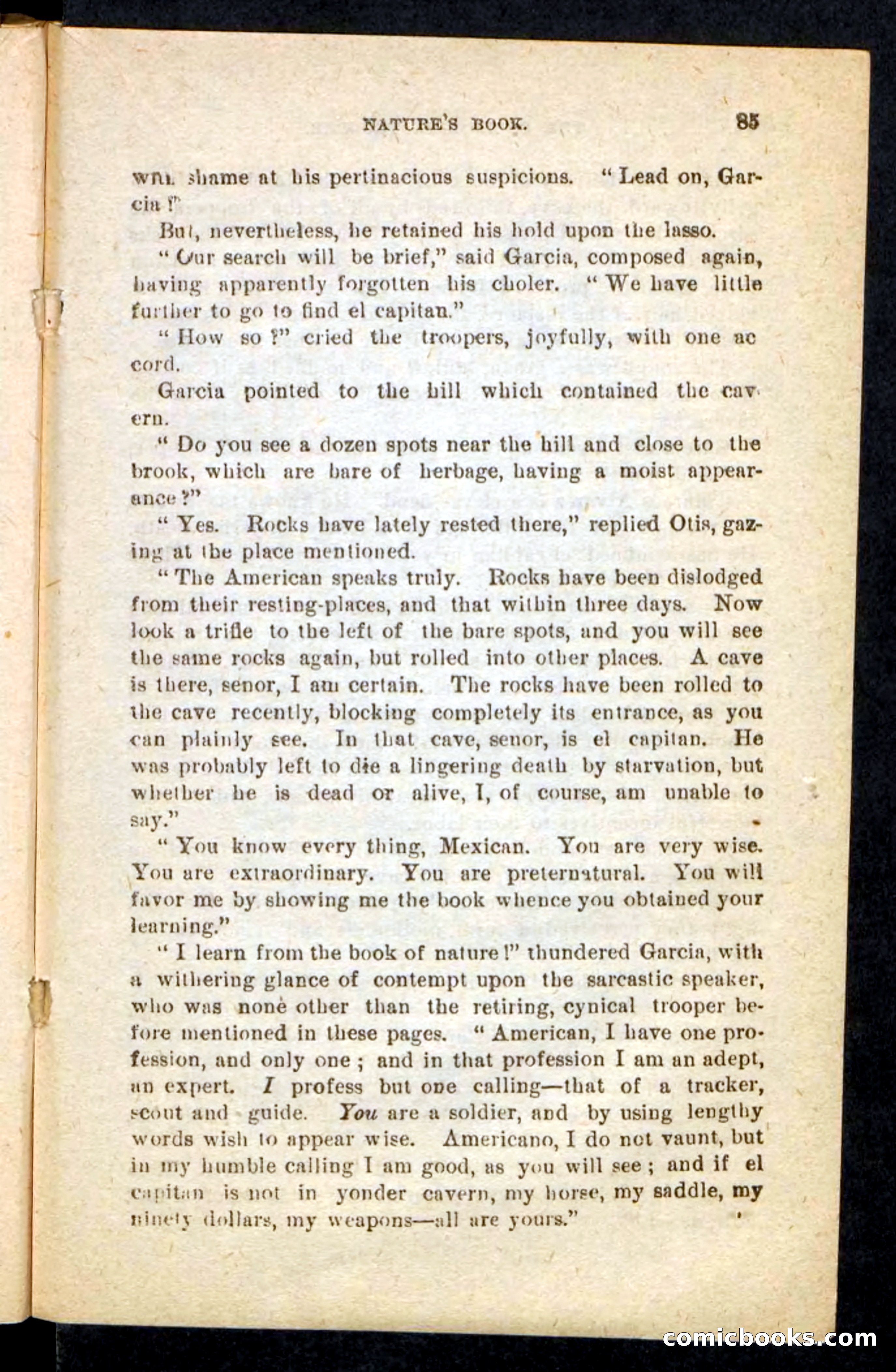 Will-o'-the-Wisp — page 81 of 100