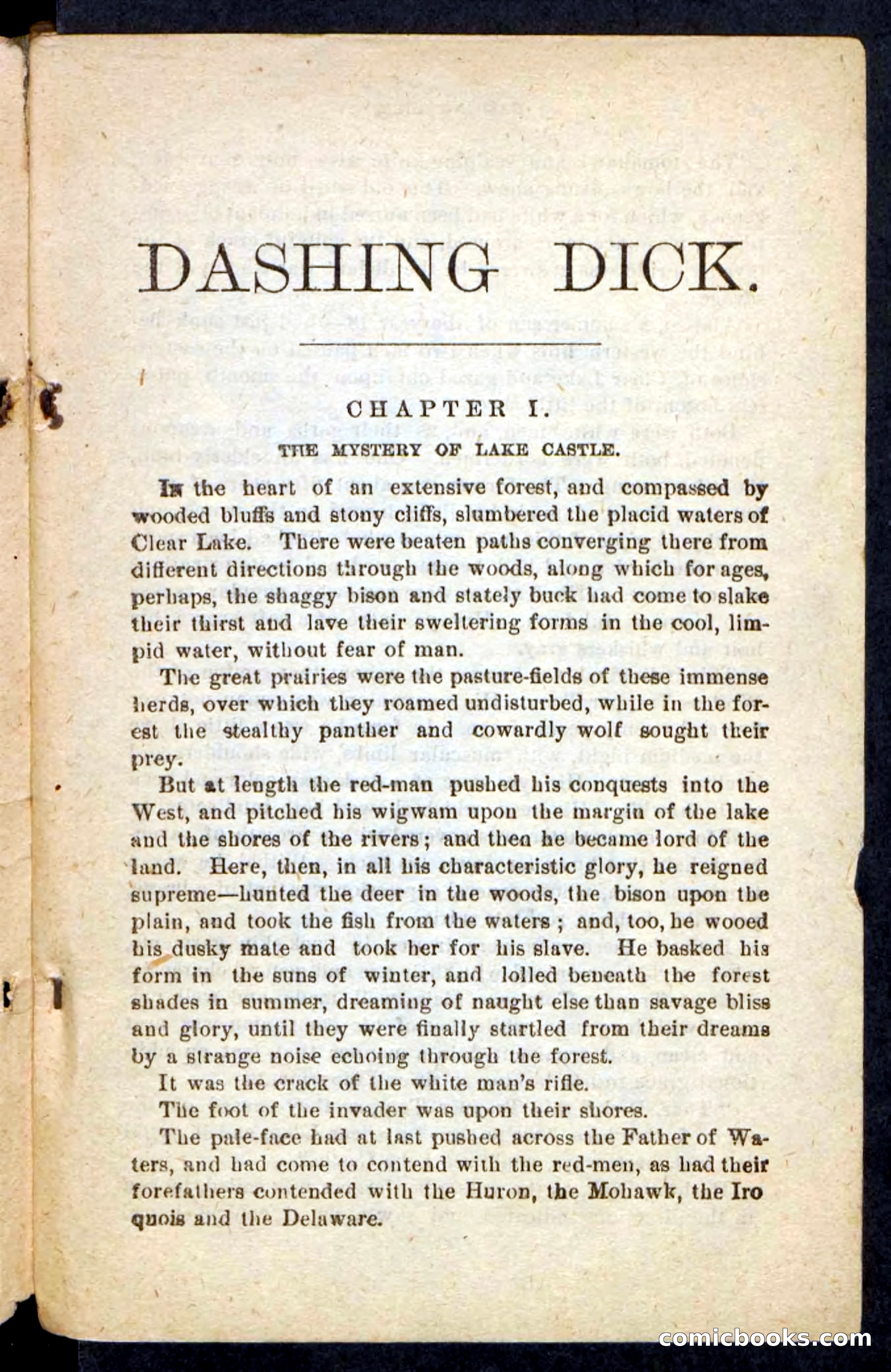 Beadle's Pocket Novels No. 244: Dashing Dick — page 5 of 100