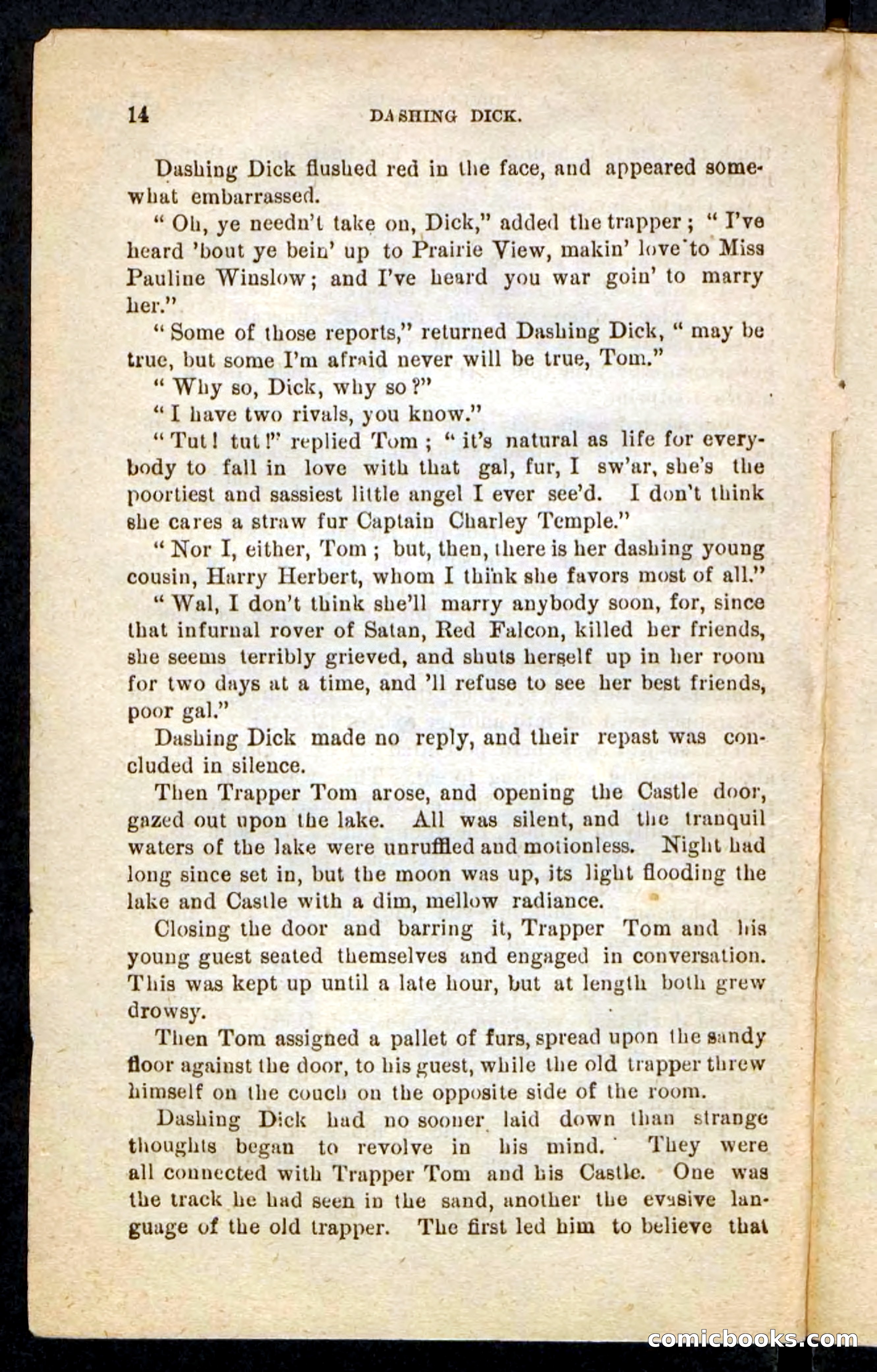 Beadle's Pocket Novels No. 244: Dashing Dick — page 10 of 100