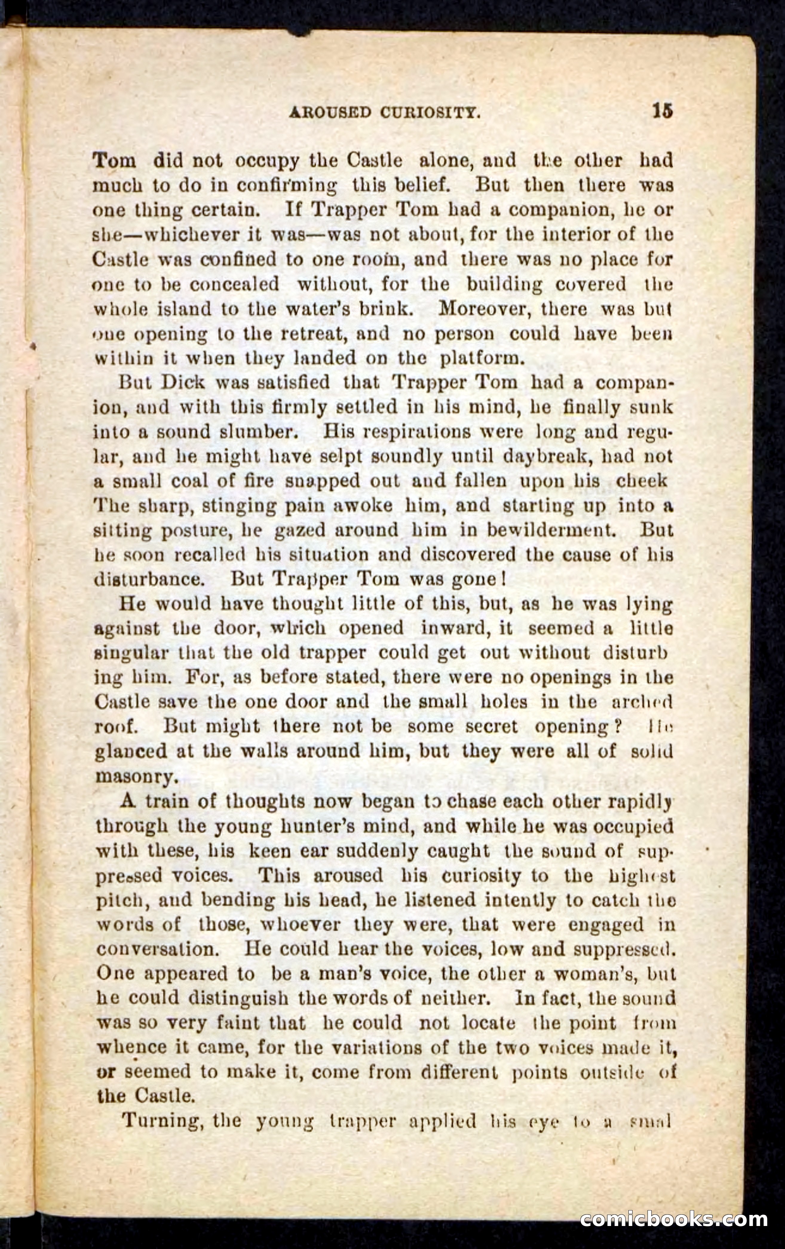Beadle's Pocket Novels No. 244: Dashing Dick — page 11 of 100